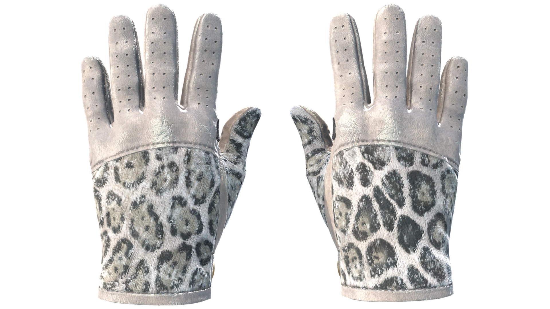 Snow Leopard image