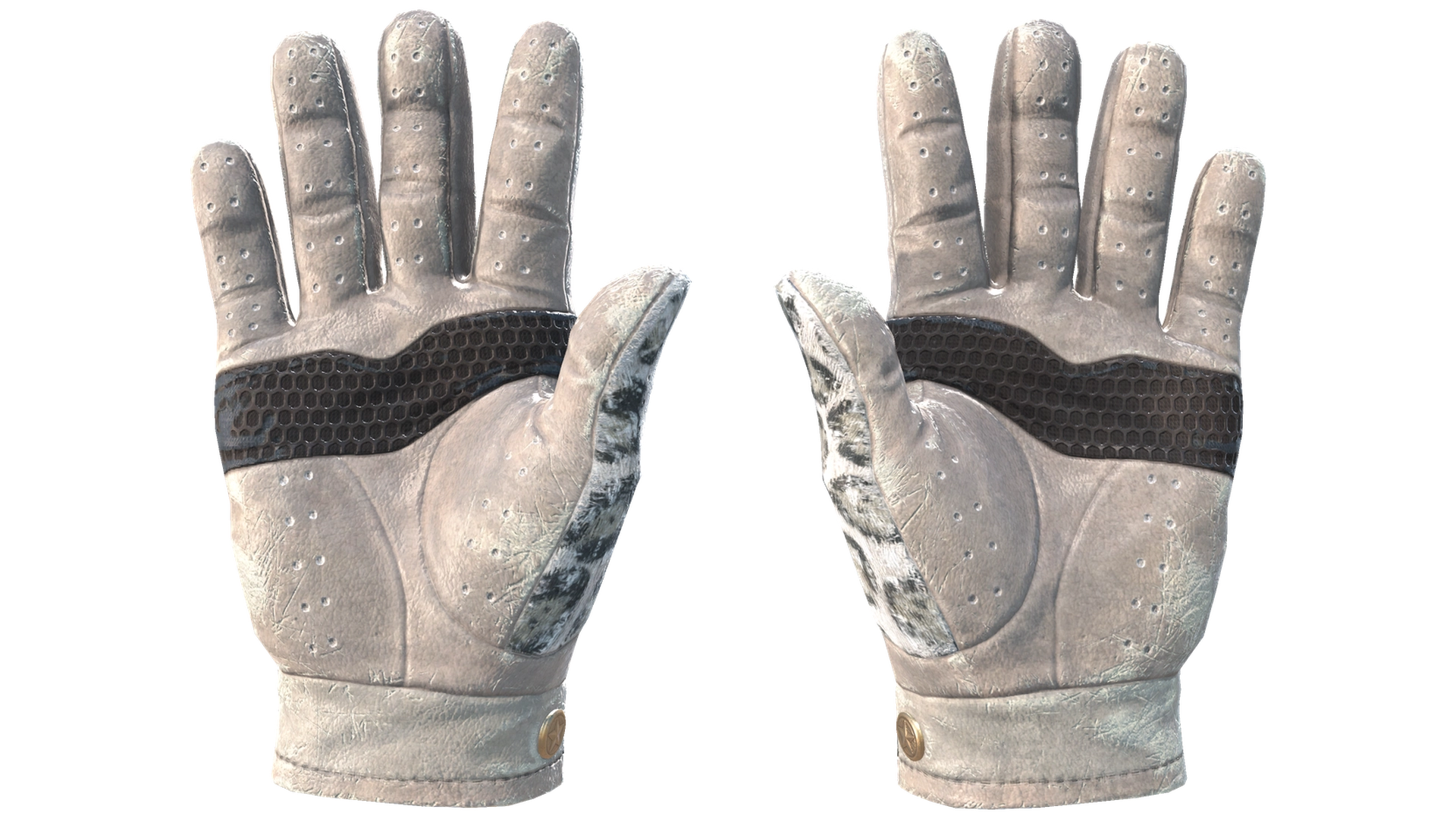 Snow Leopard image