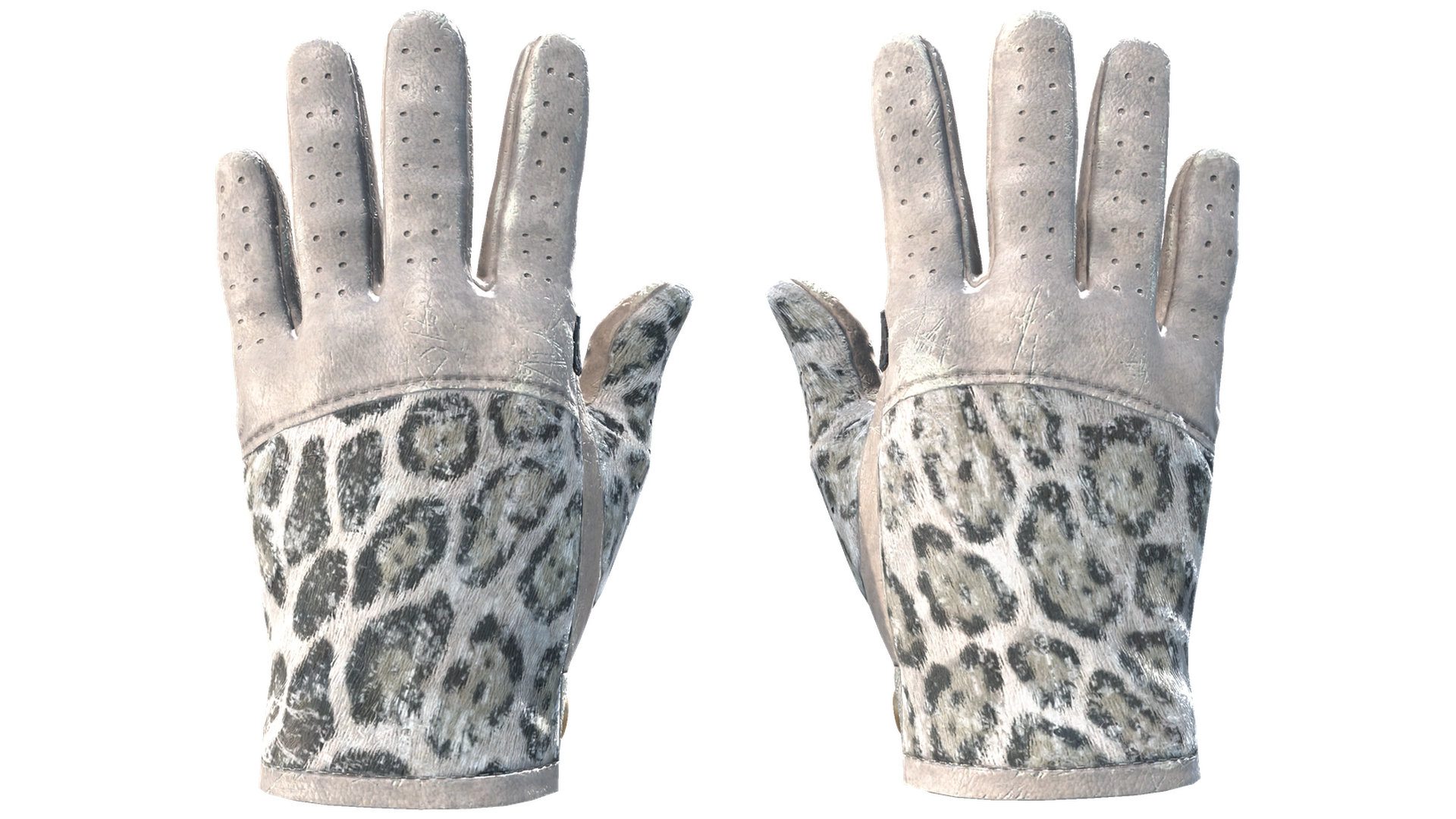 Snow Leopard image