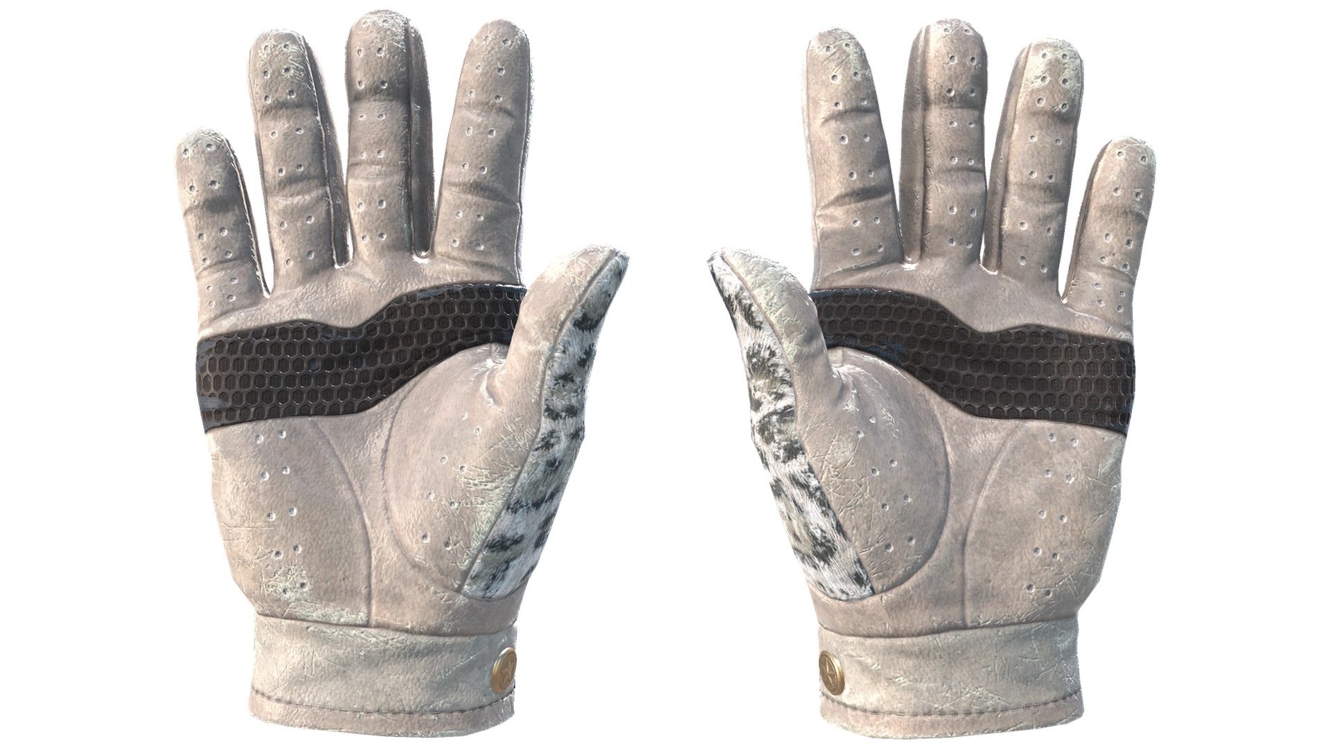 Snow Leopard image