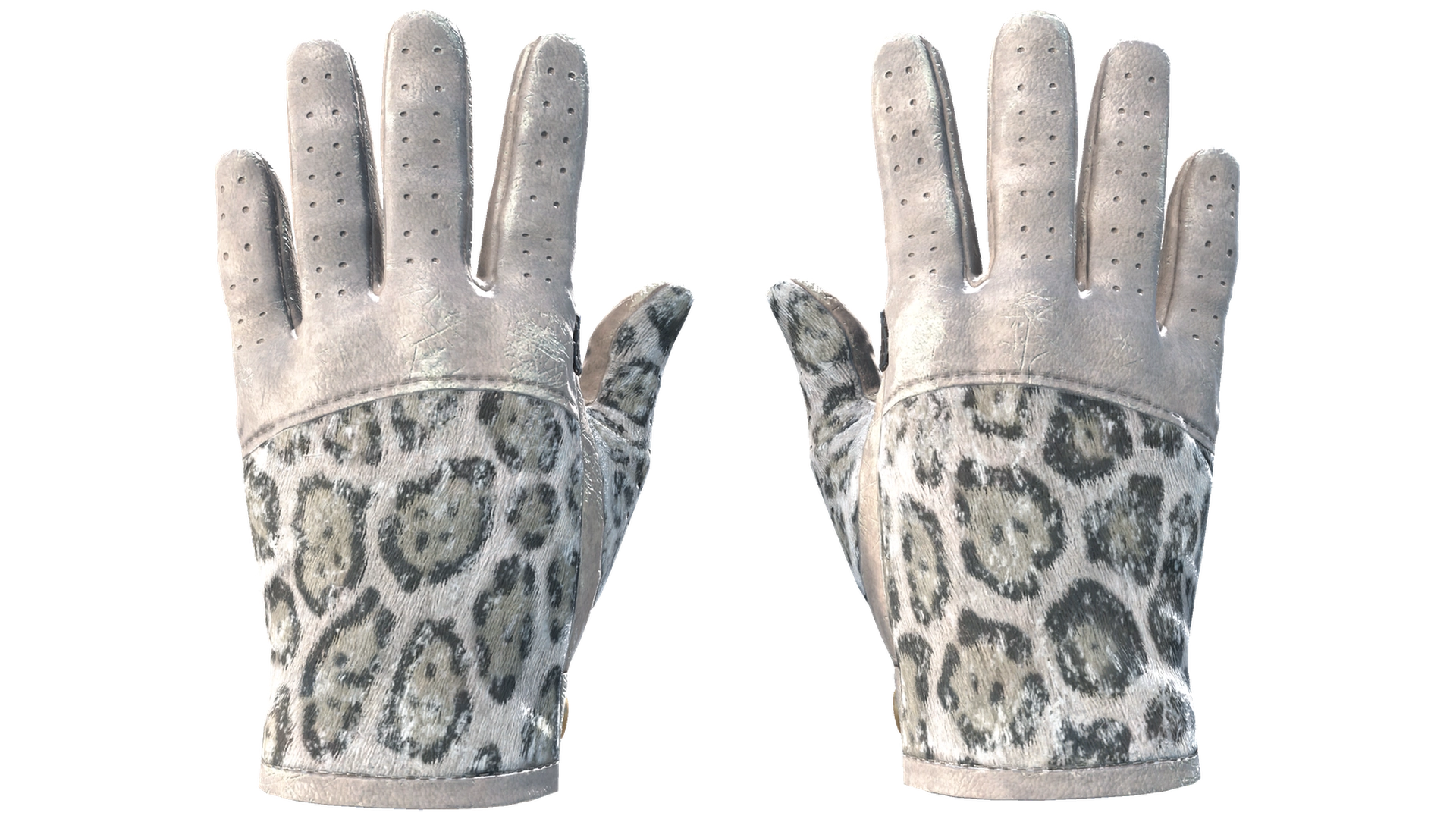 Snow Leopard image