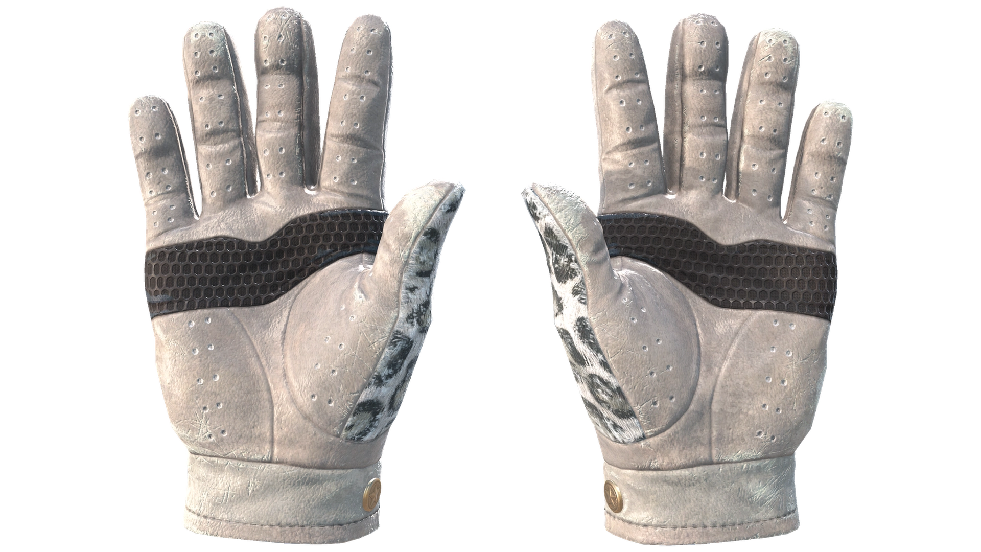 Snow Leopard image