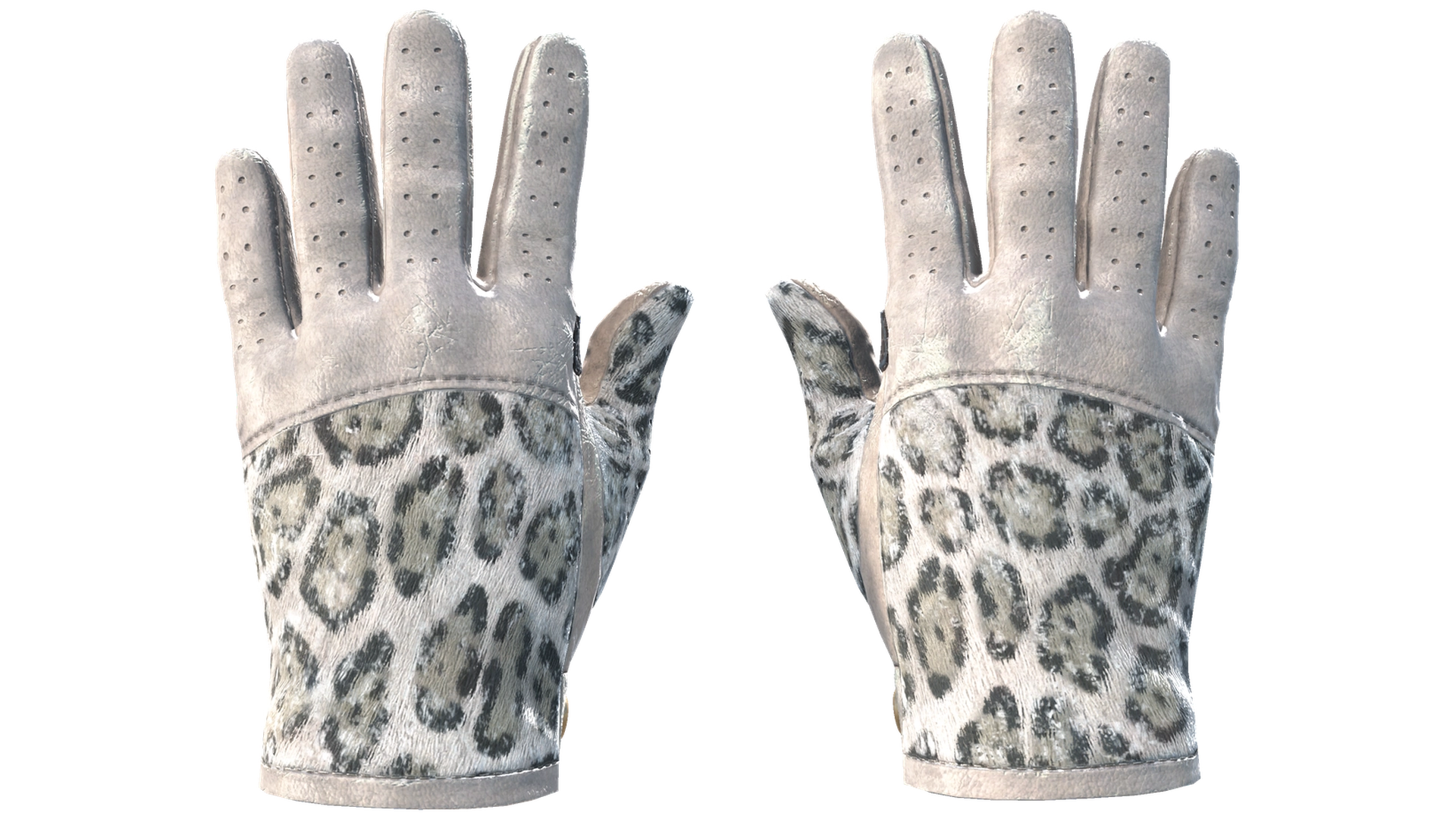 Snow Leopard image
