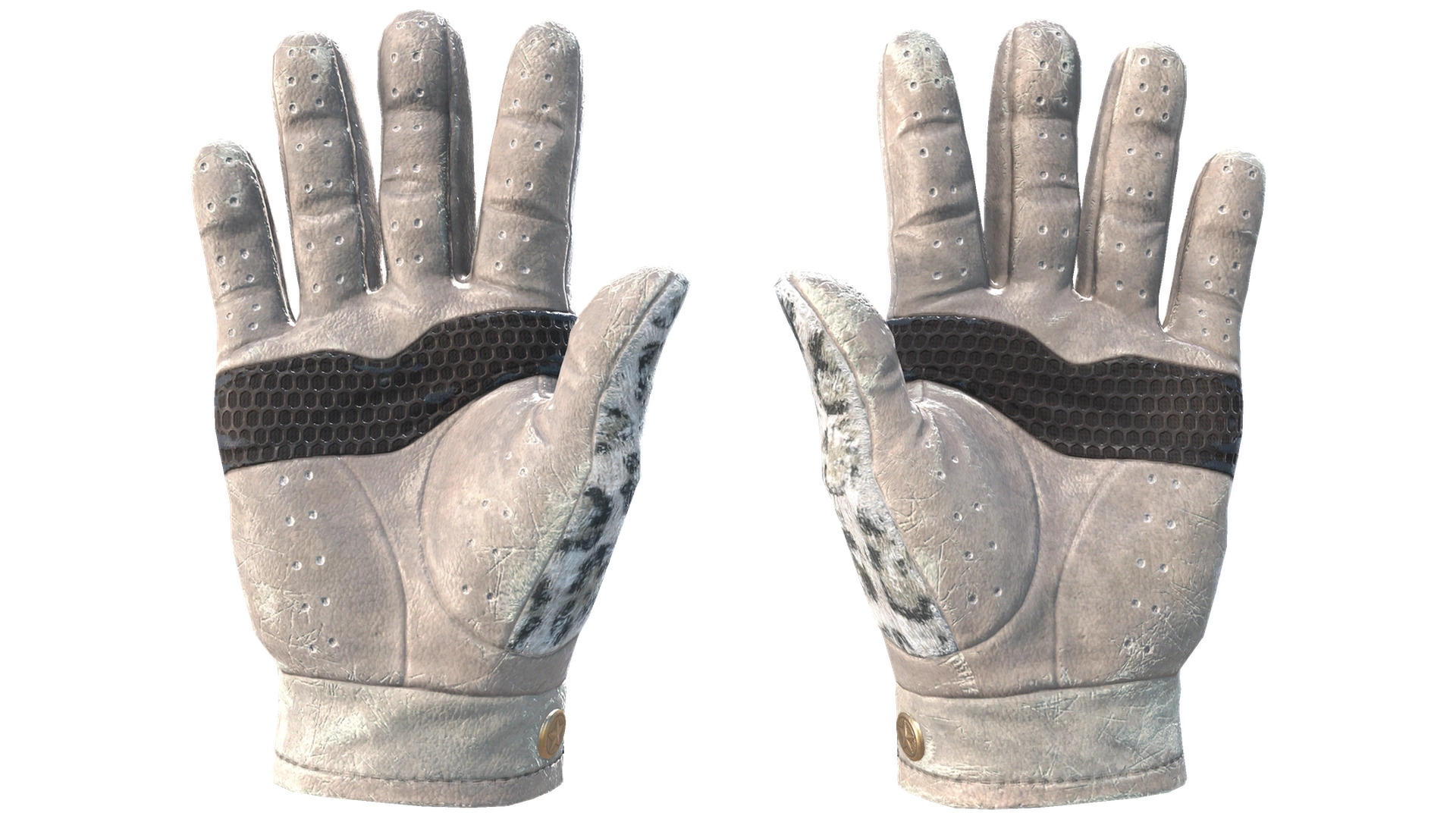 Snow Leopard image