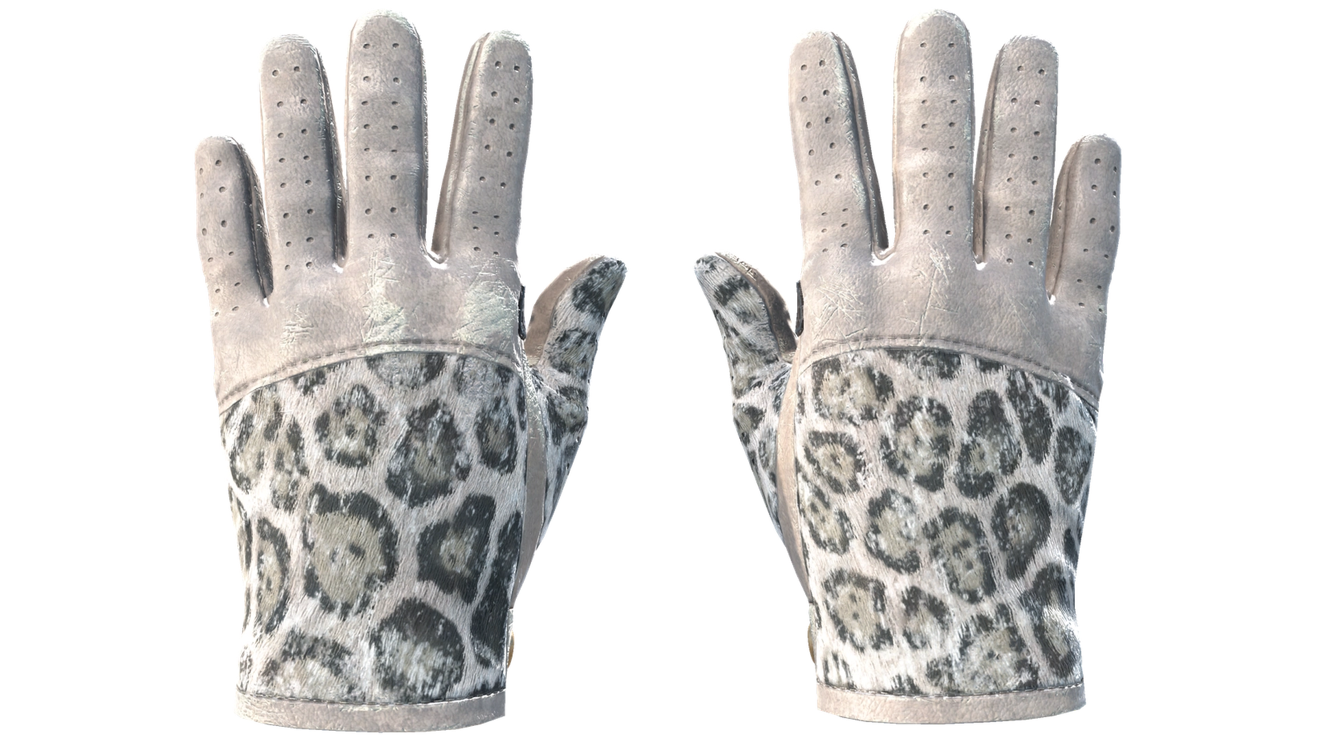 Snow Leopard image