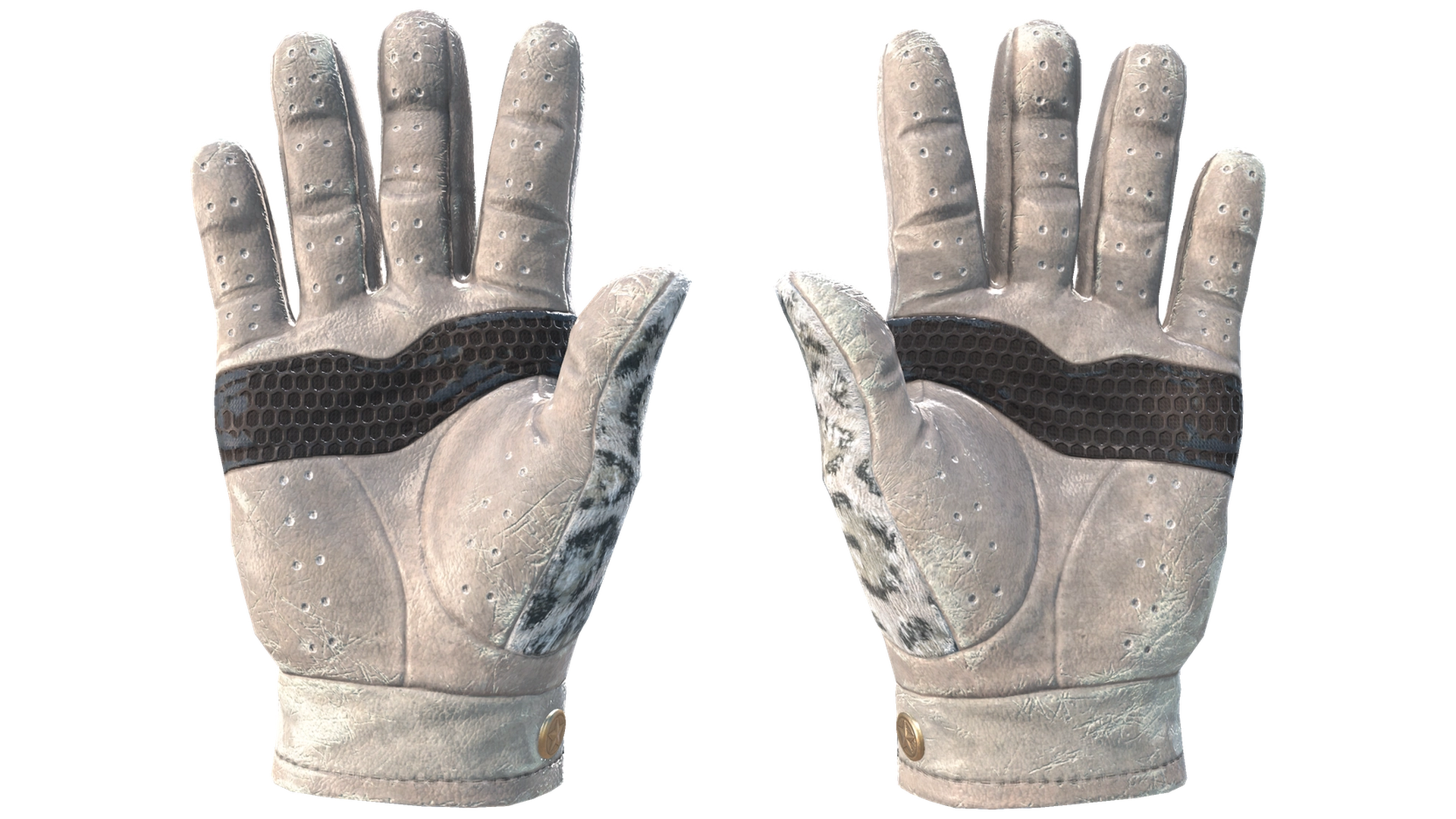 Snow Leopard image