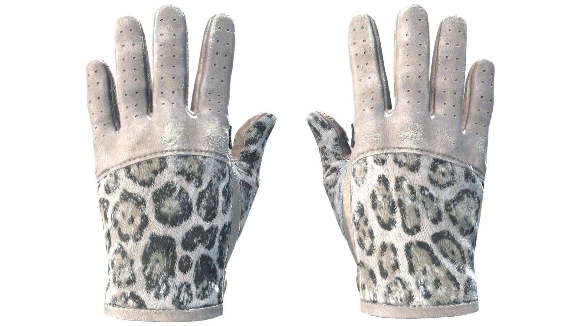 Snow Leopard image