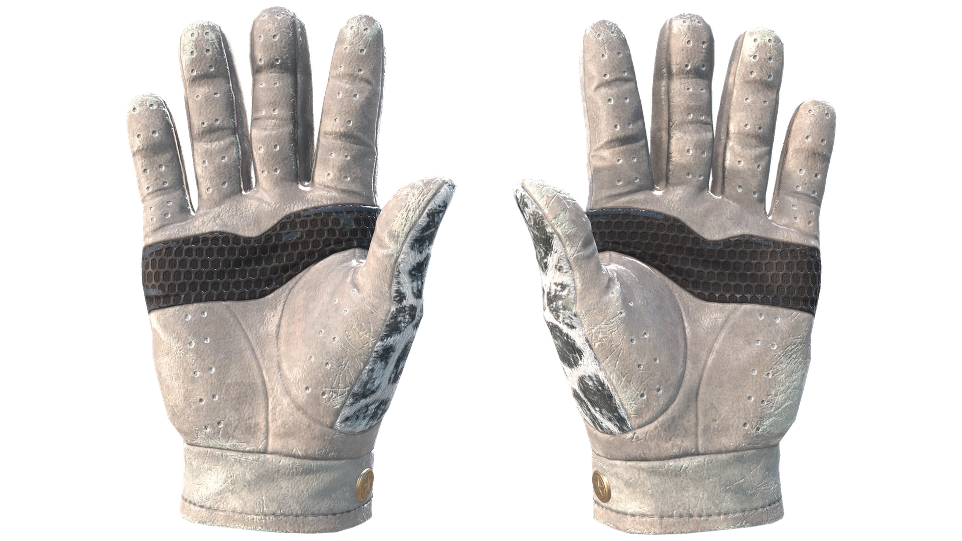 Snow Leopard image