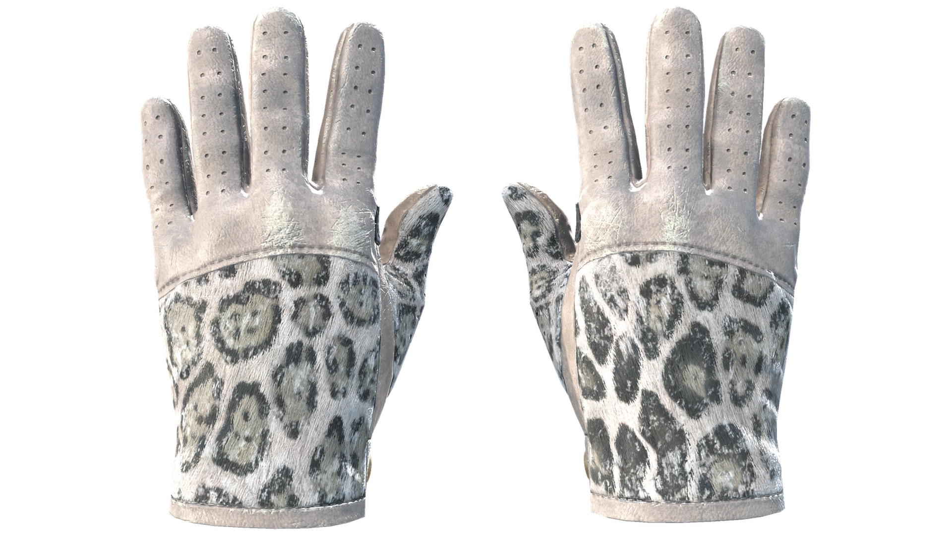 Snow Leopard image