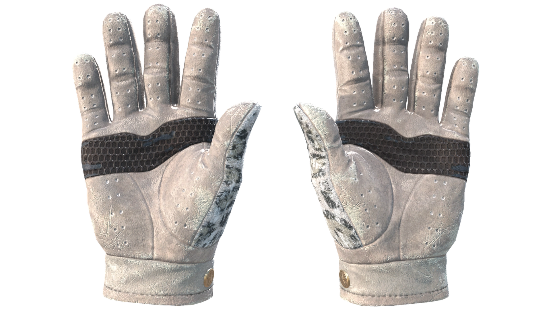 Snow Leopard image