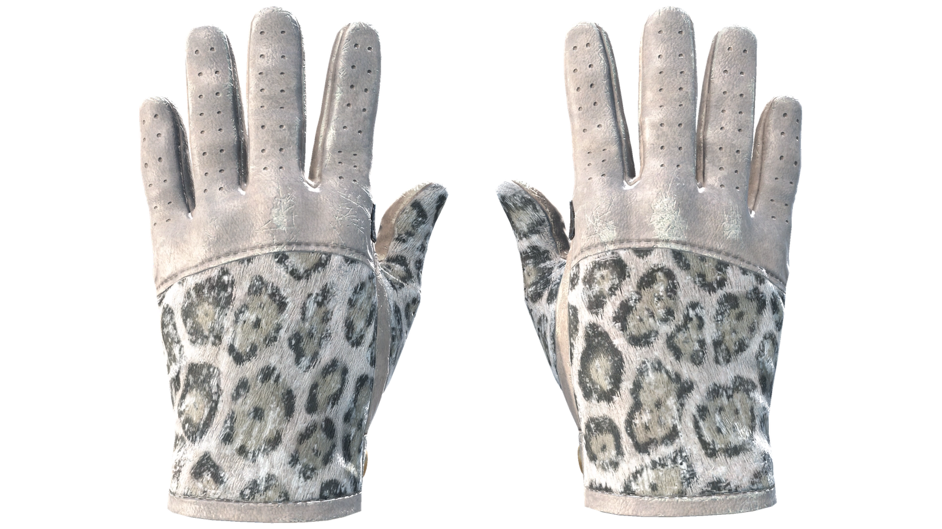 Snow Leopard image