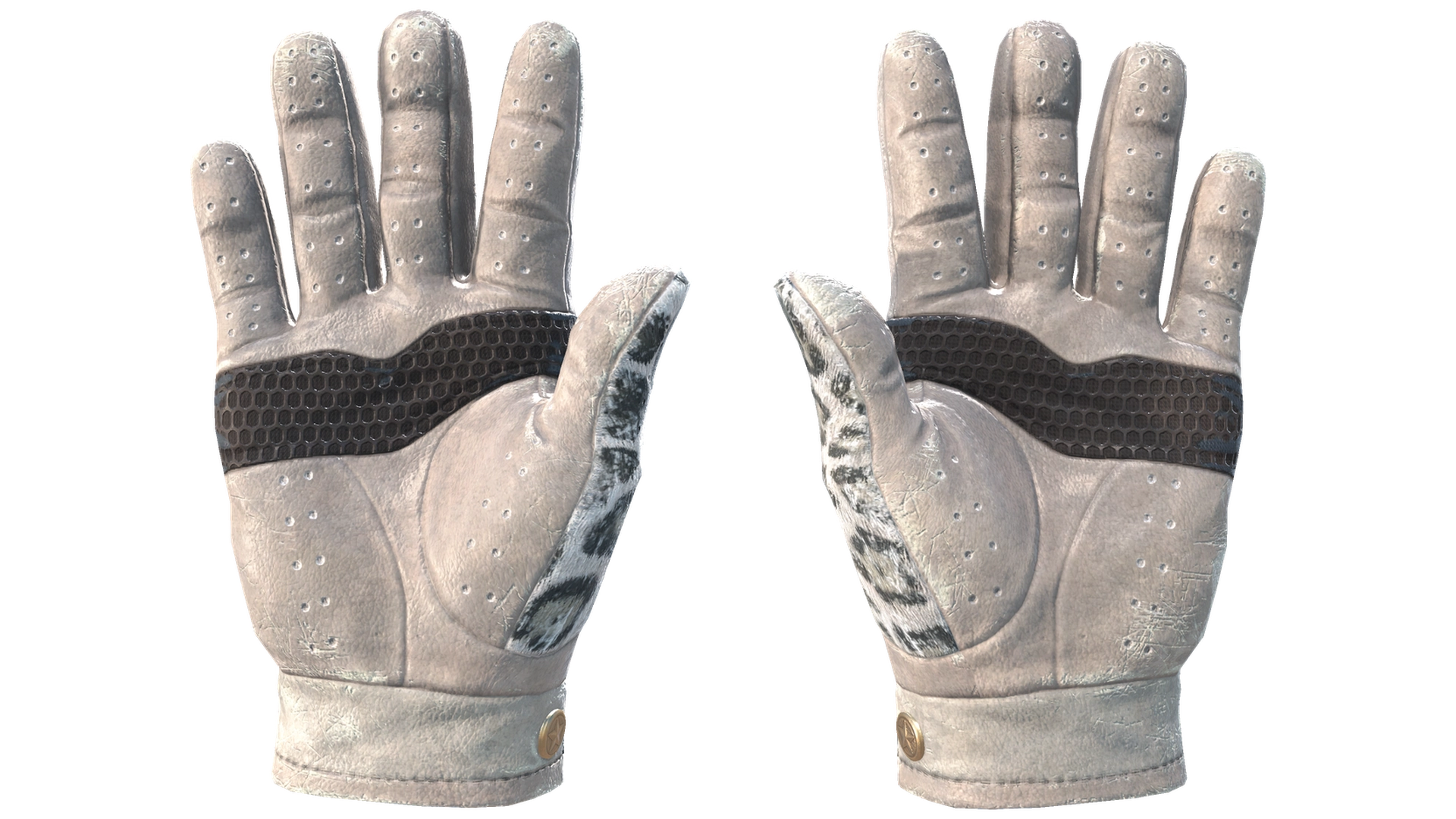 Snow Leopard image