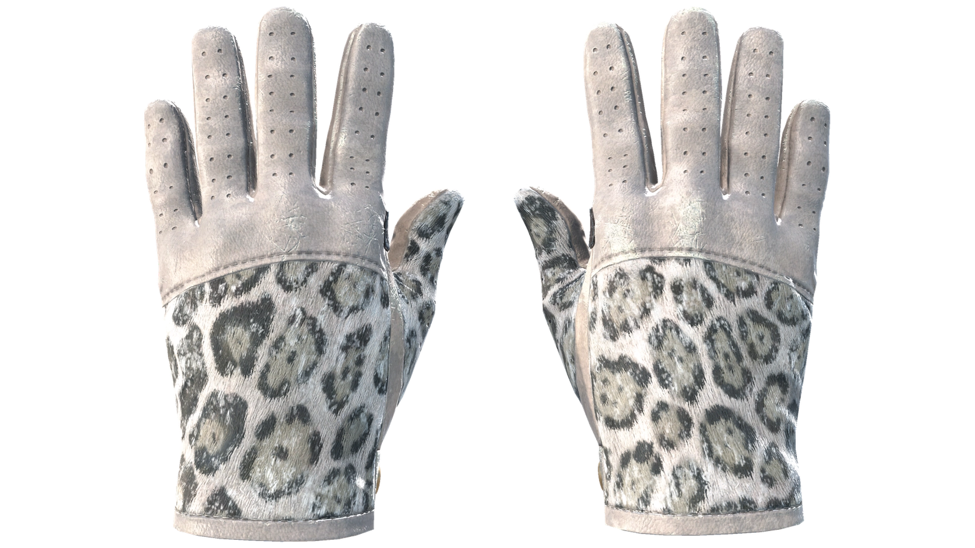 Snow Leopard image