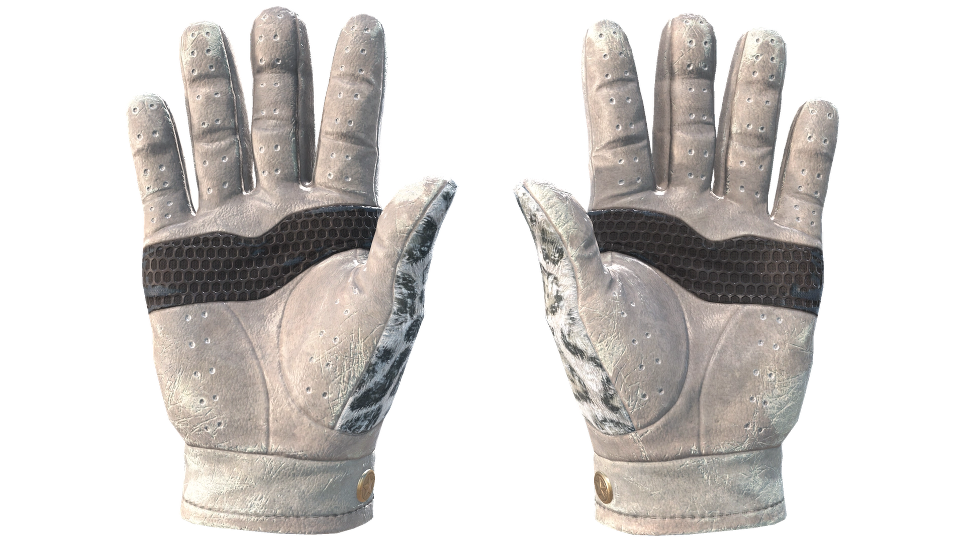 Snow Leopard image