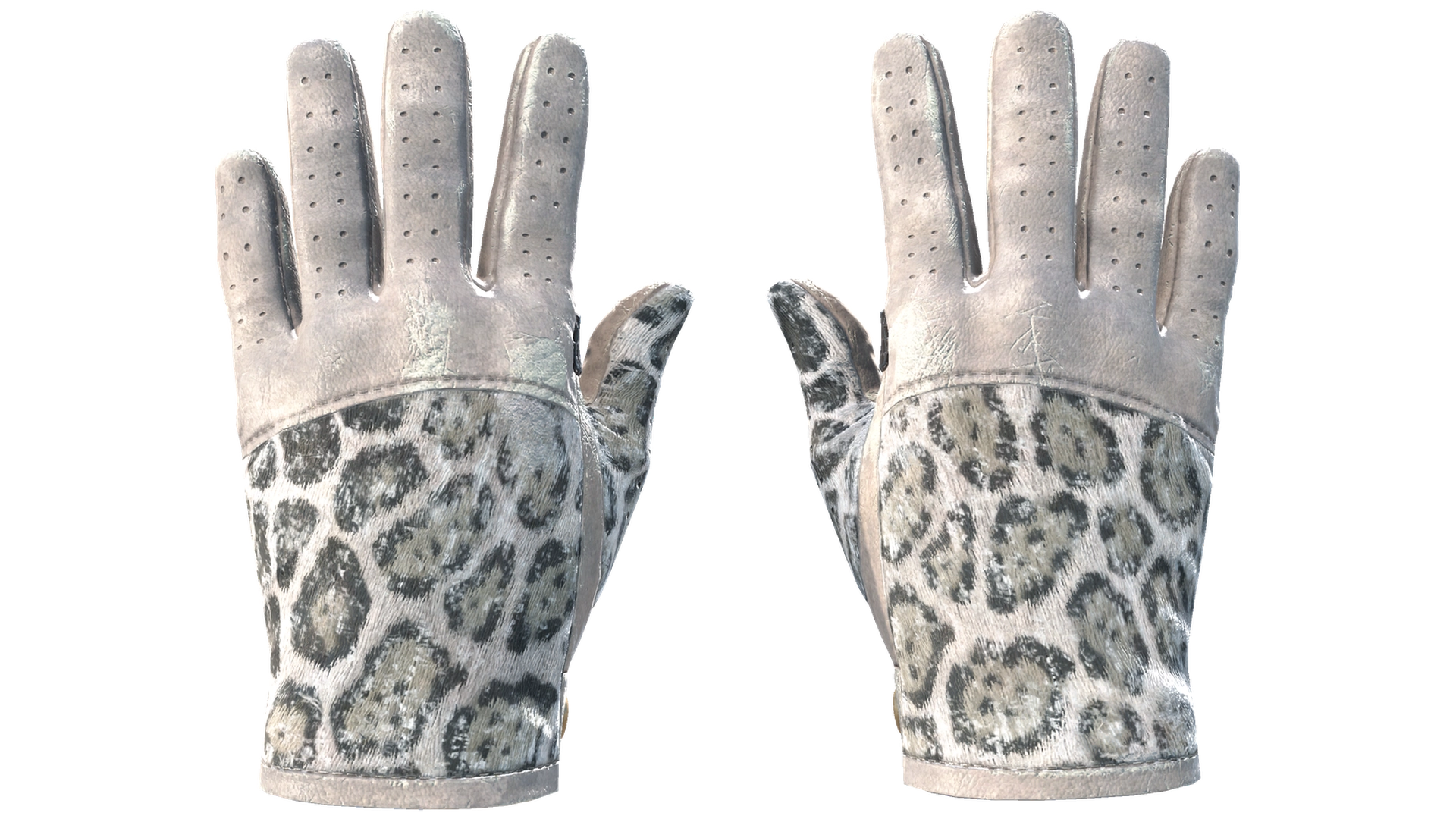 Snow Leopard image