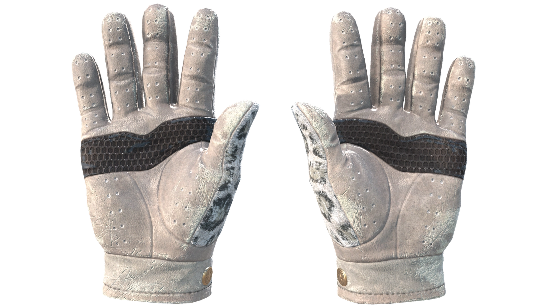 Snow Leopard image