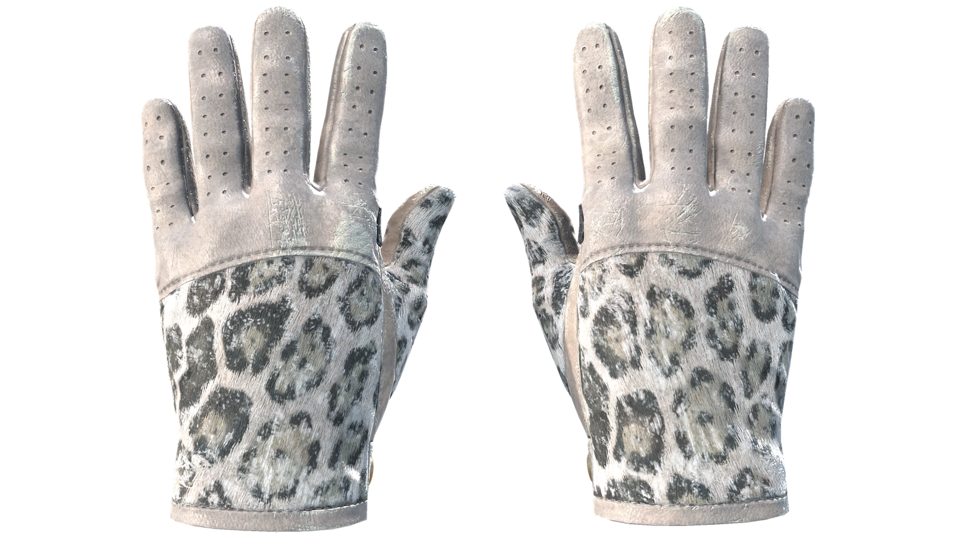 Snow Leopard image