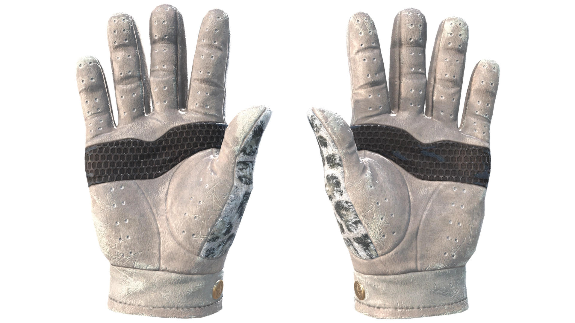 Snow Leopard image