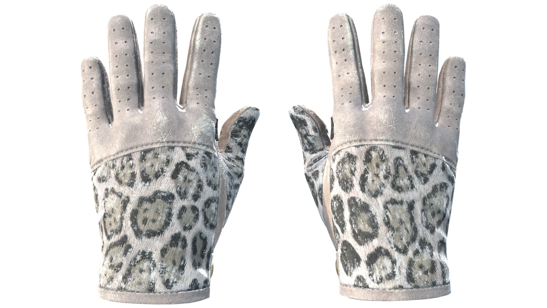 Snow Leopard image