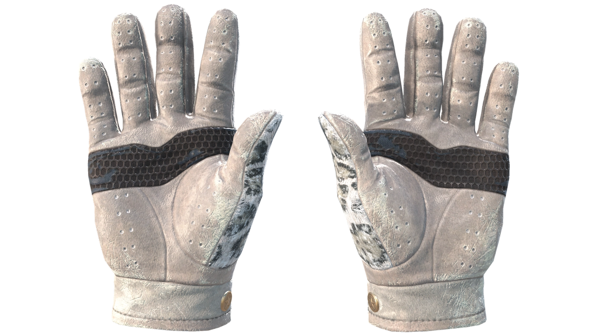 Snow Leopard image