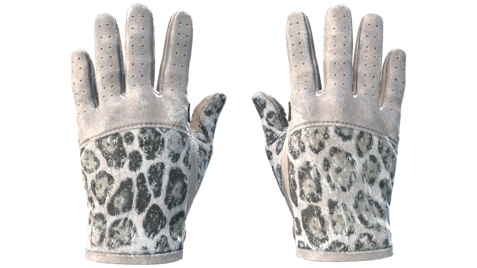 Snow Leopard image