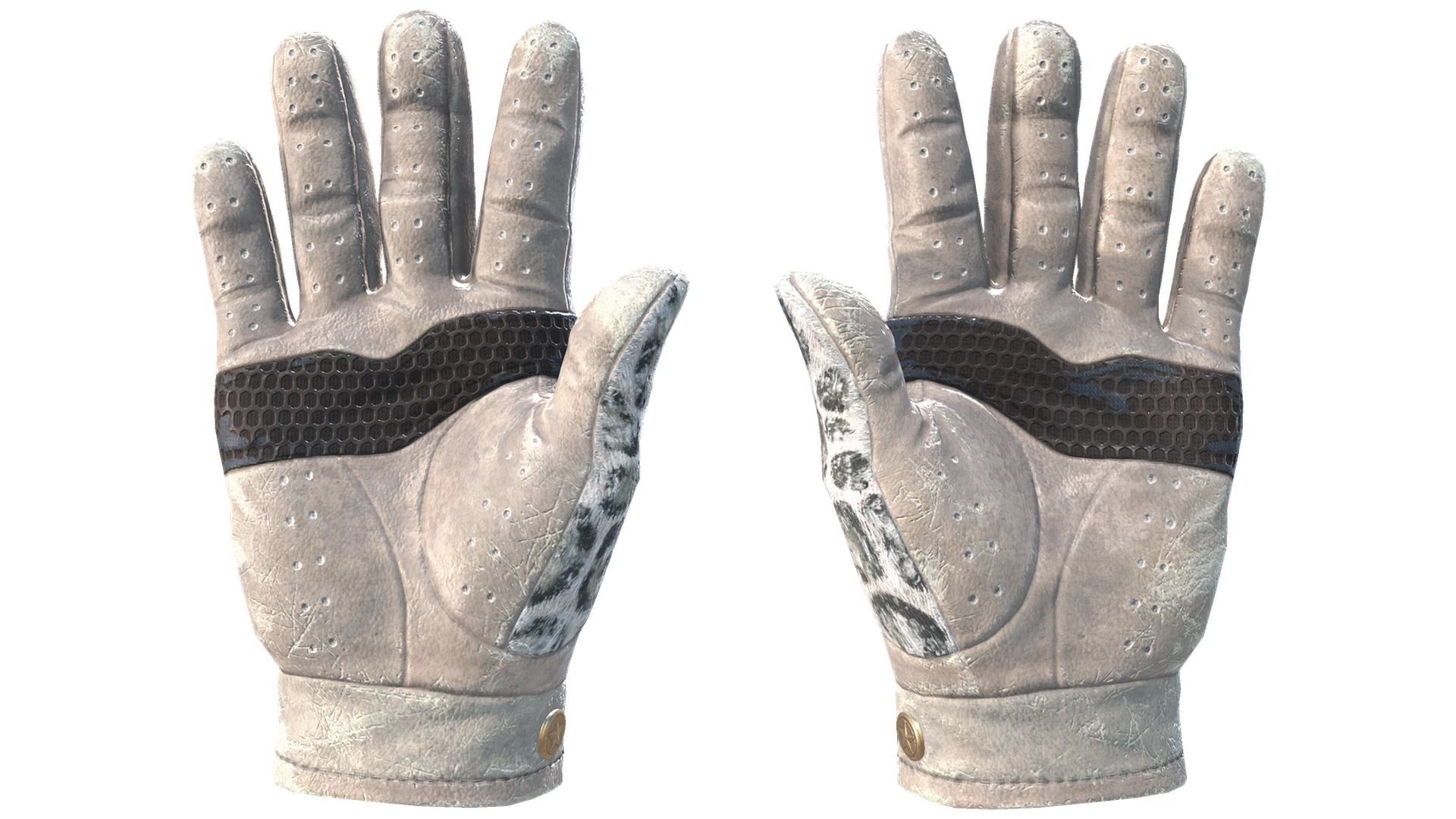 Snow Leopard image