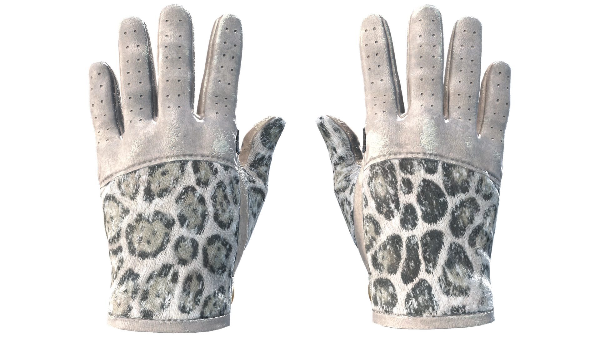 Snow Leopard image