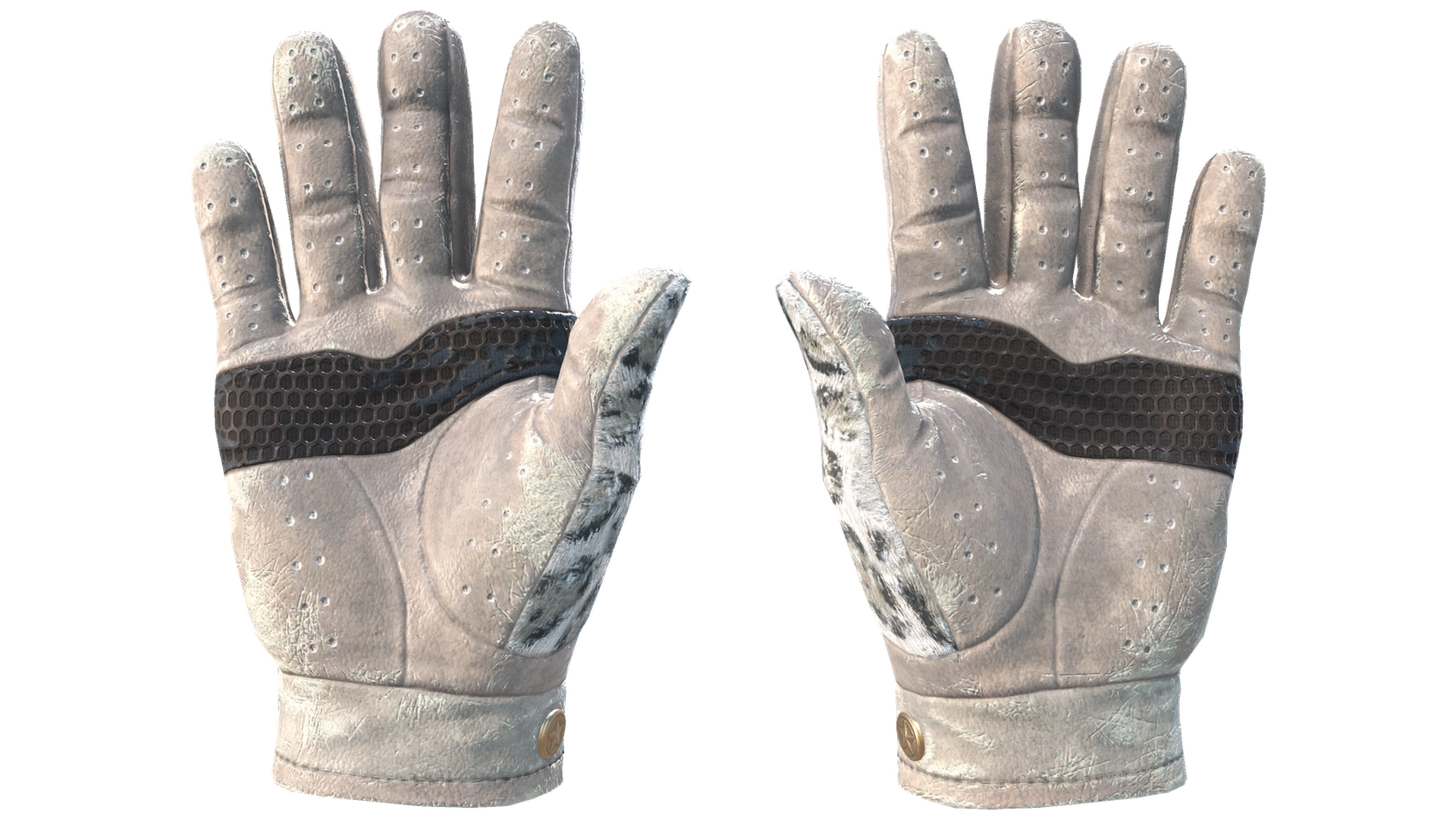 Snow Leopard image