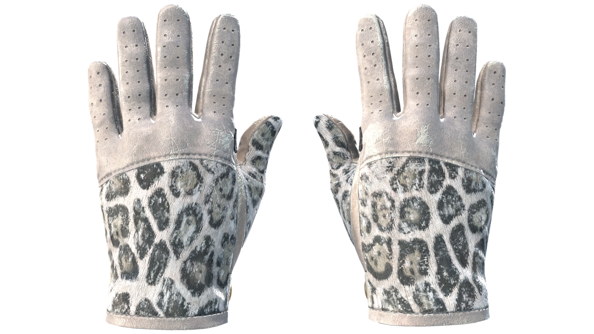 Snow Leopard image