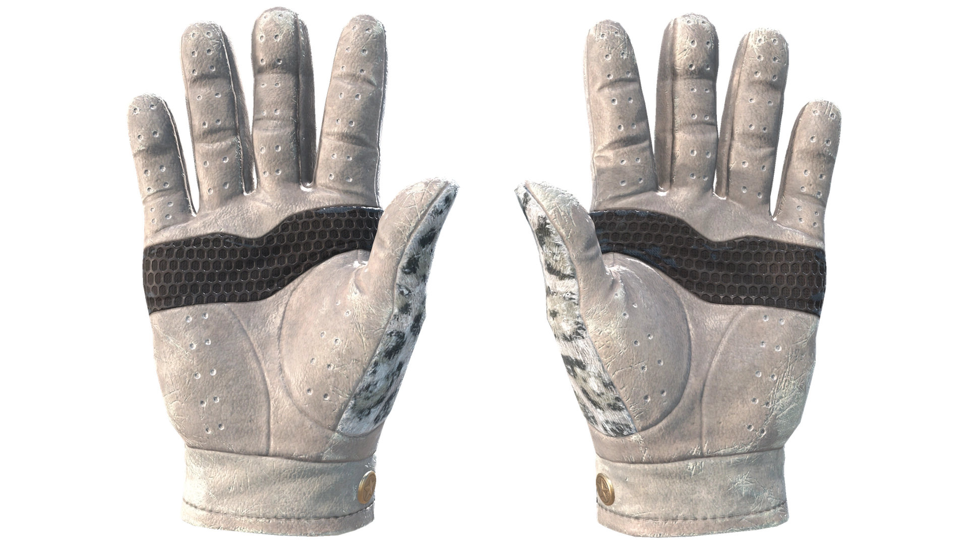 Snow Leopard image