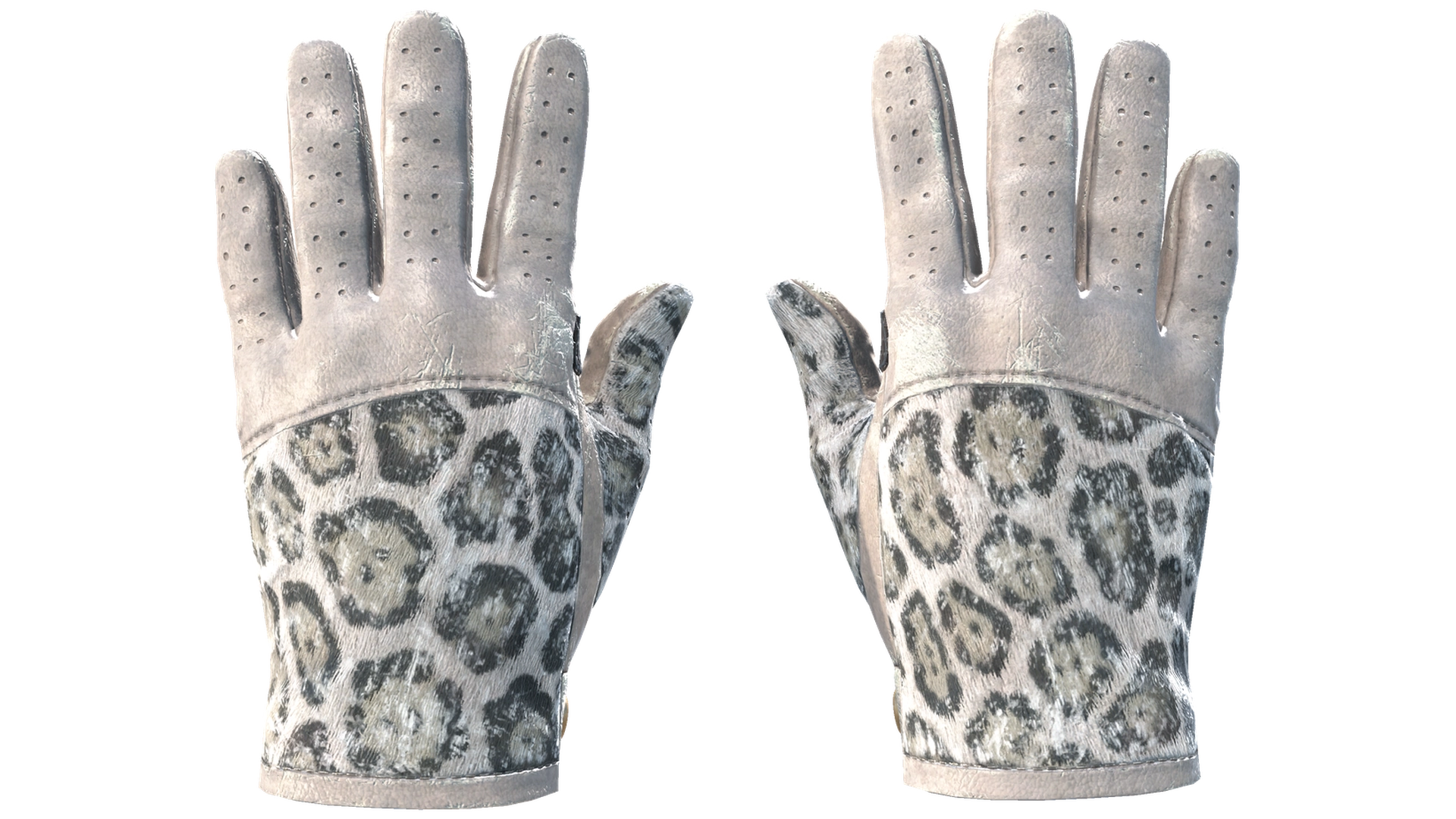 Snow Leopard image