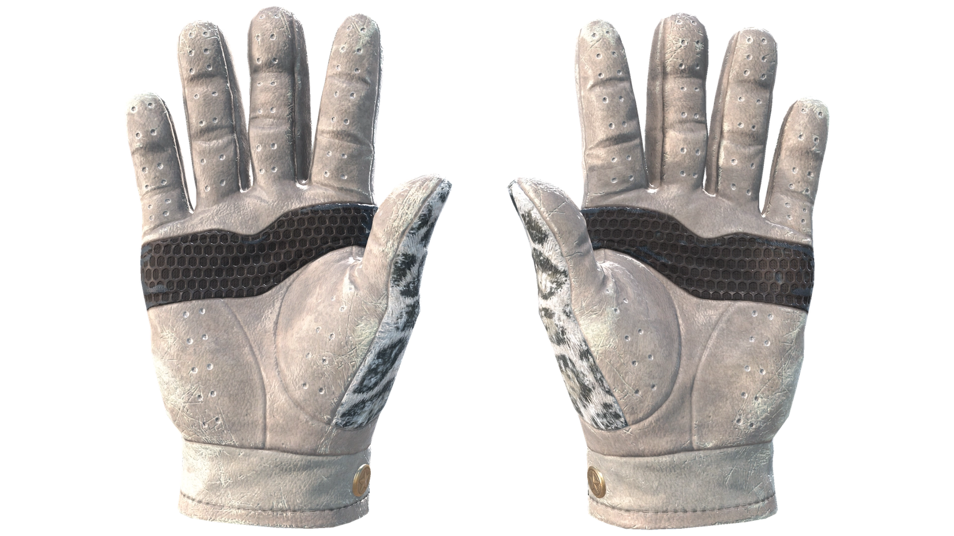 Snow Leopard image