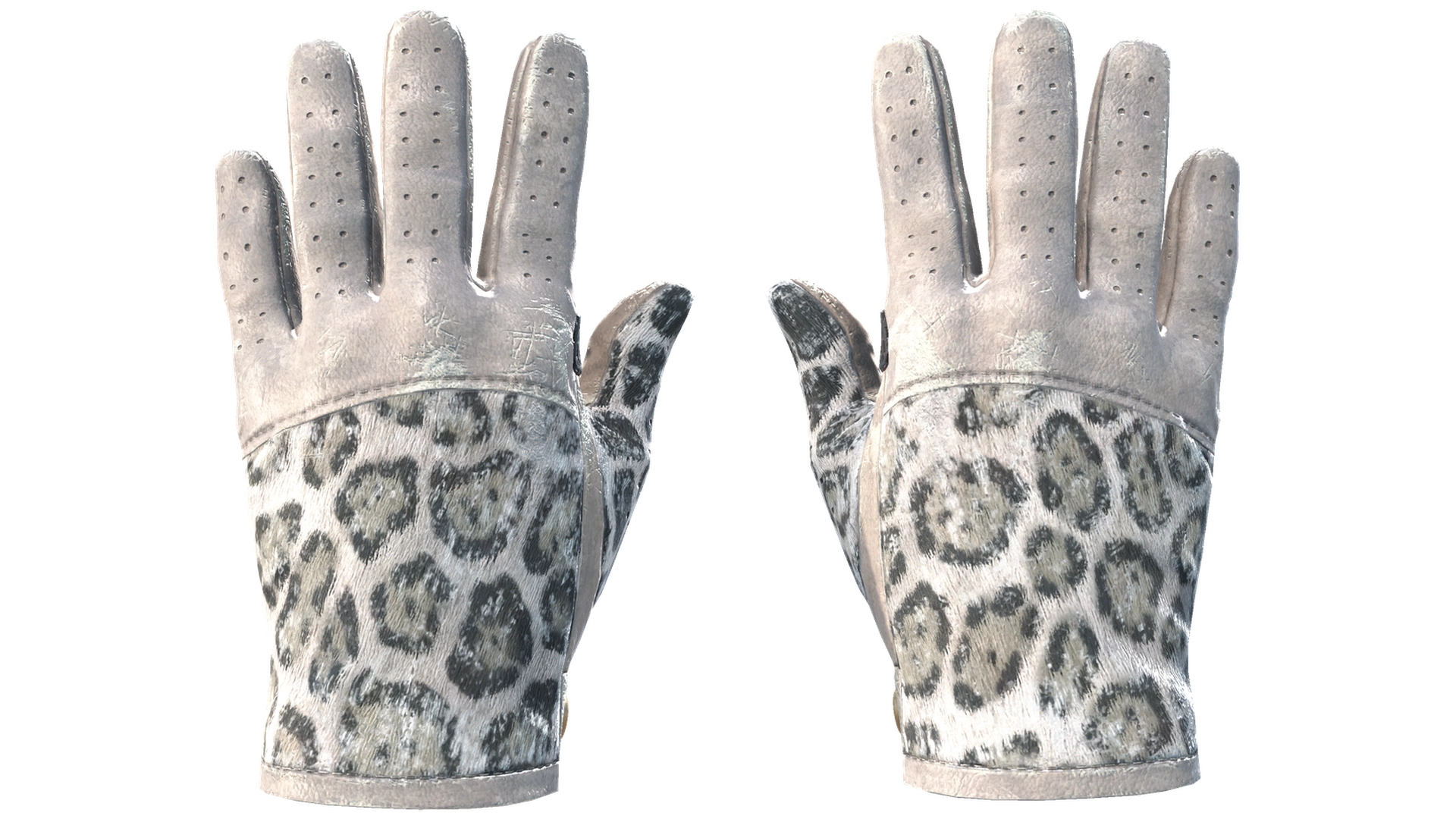 Snow Leopard image