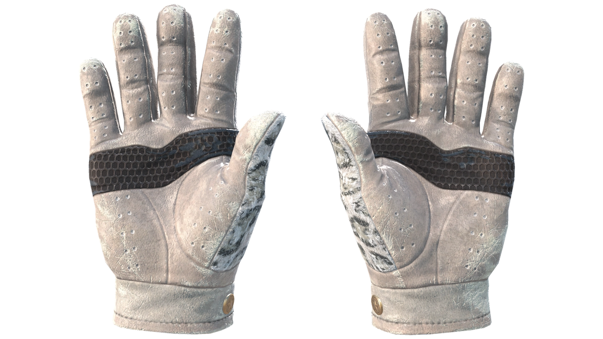 Snow Leopard image