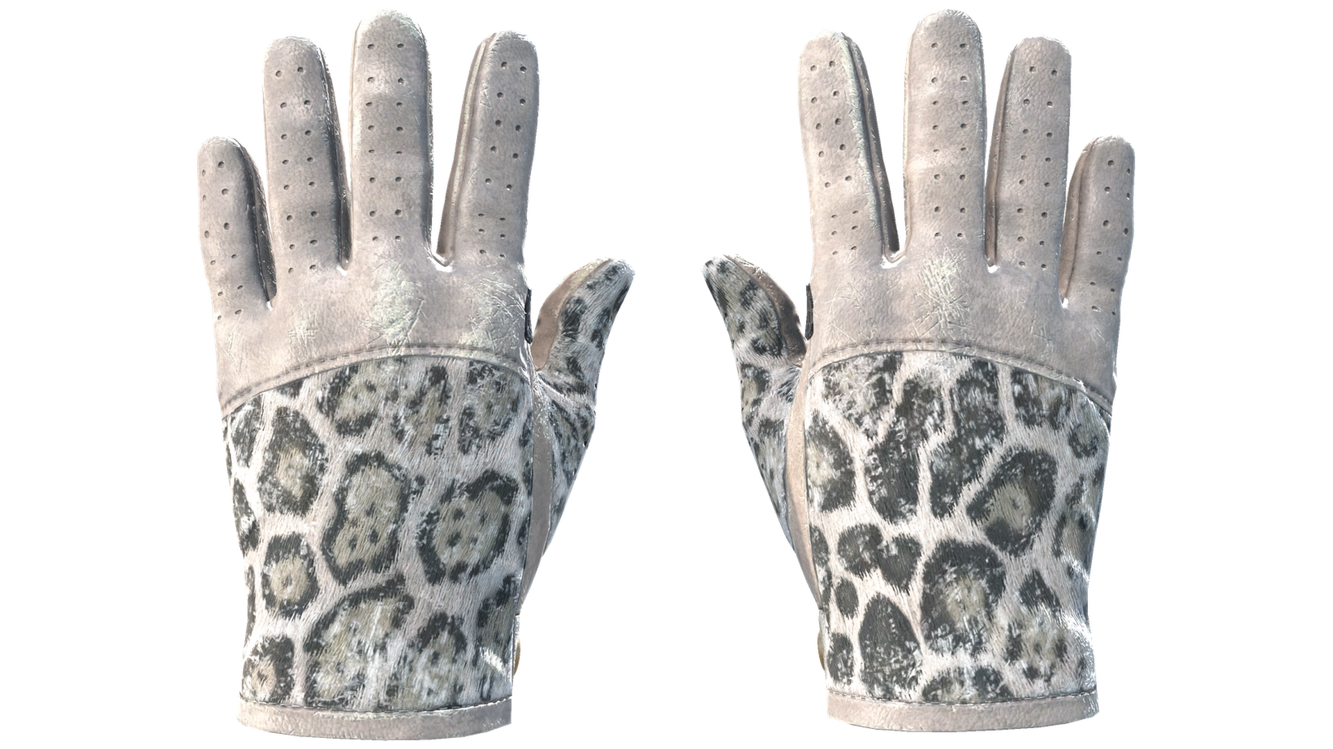 Snow Leopard image