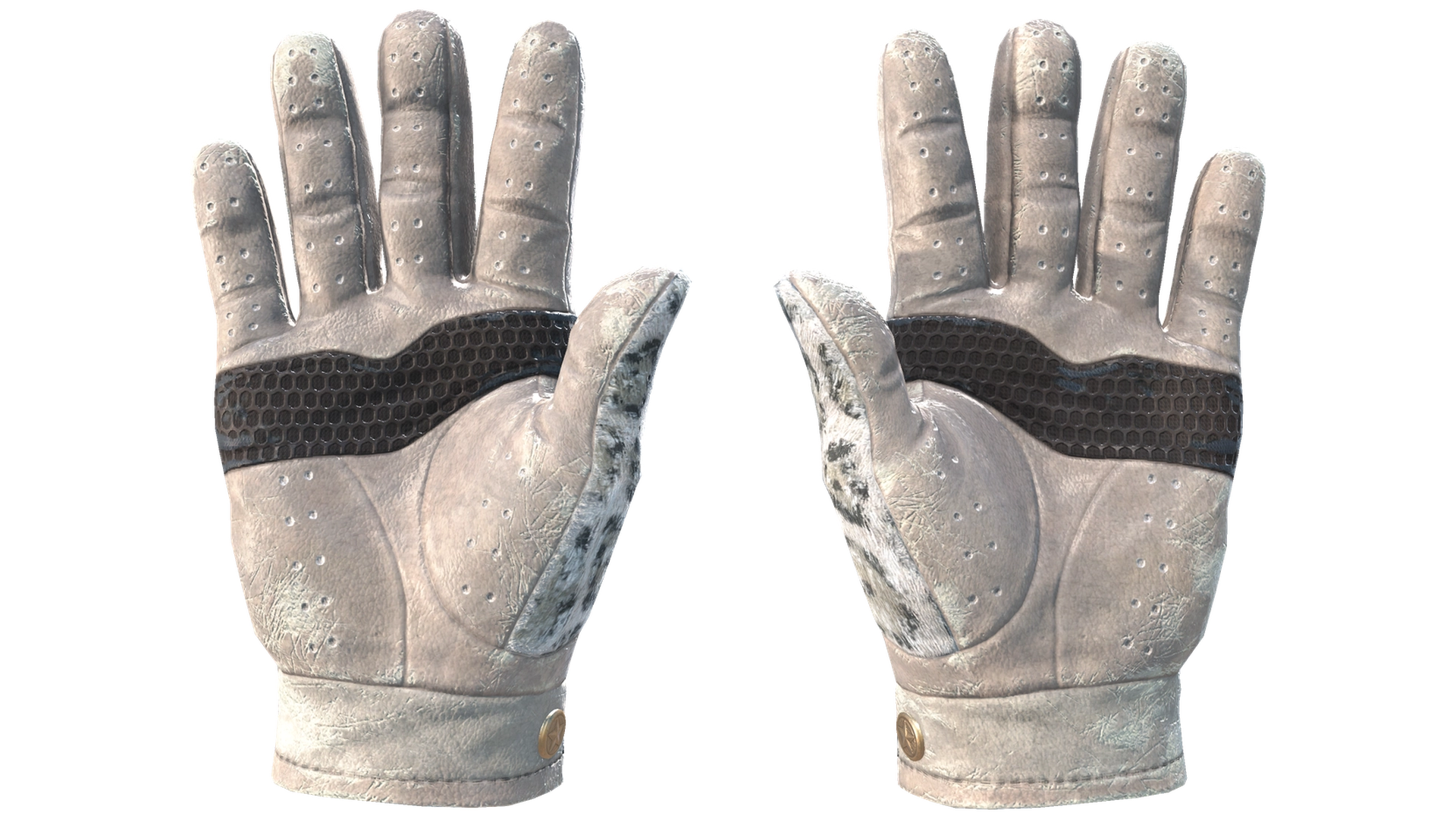 Snow Leopard image
