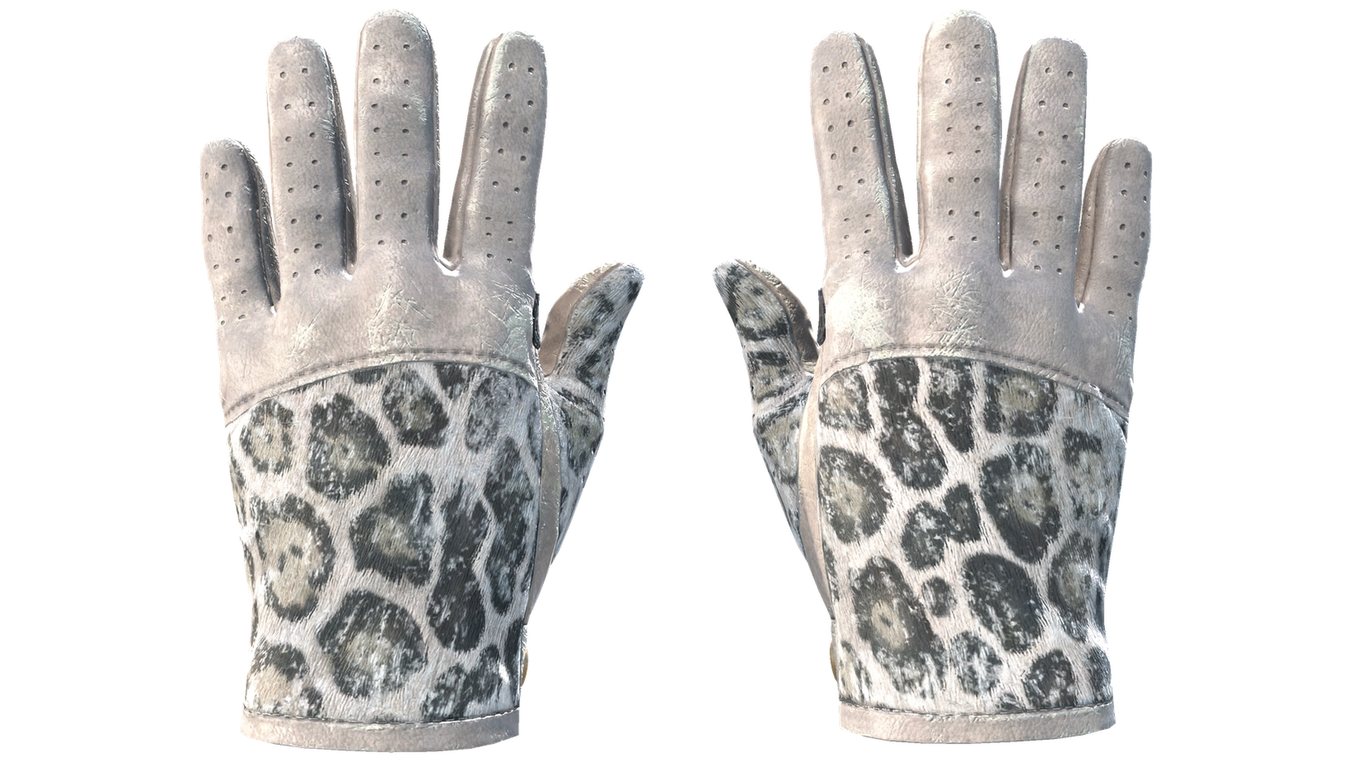 Snow Leopard image