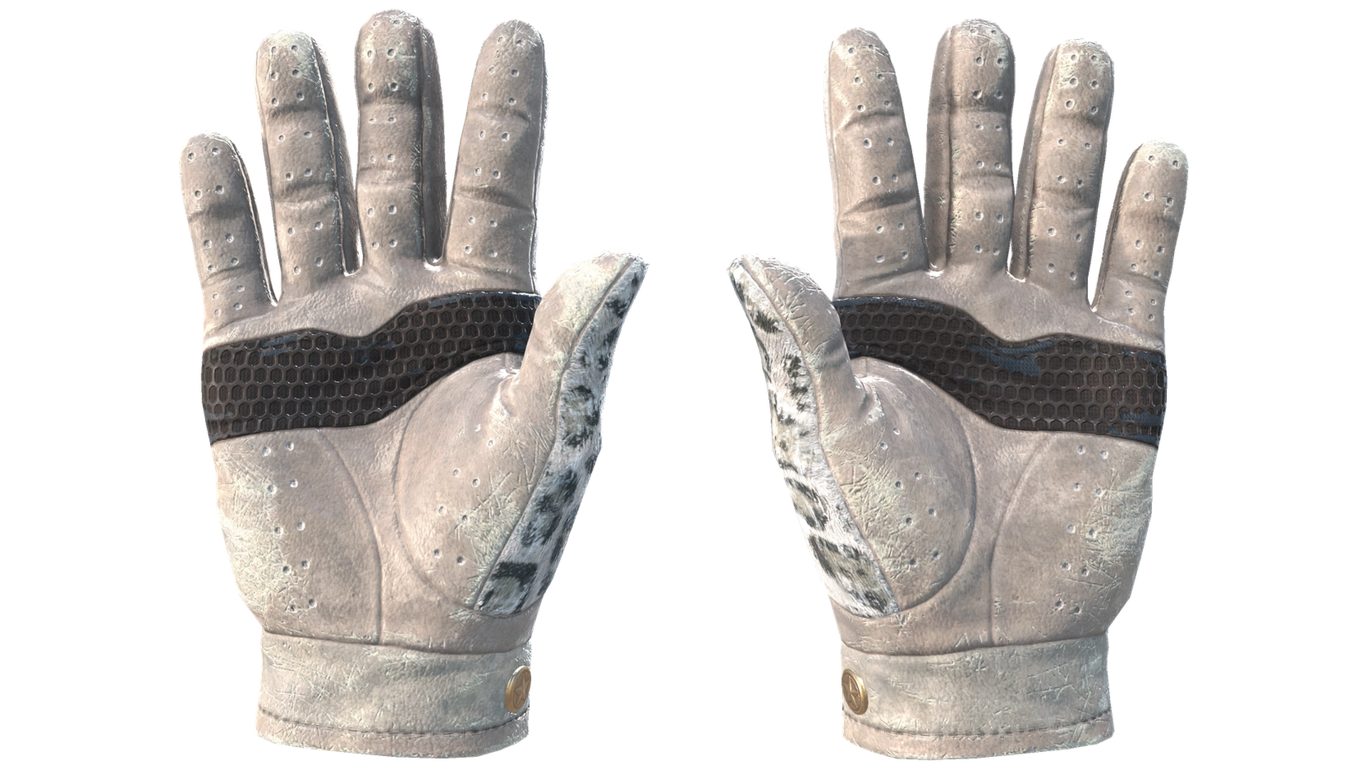 Snow Leopard image
