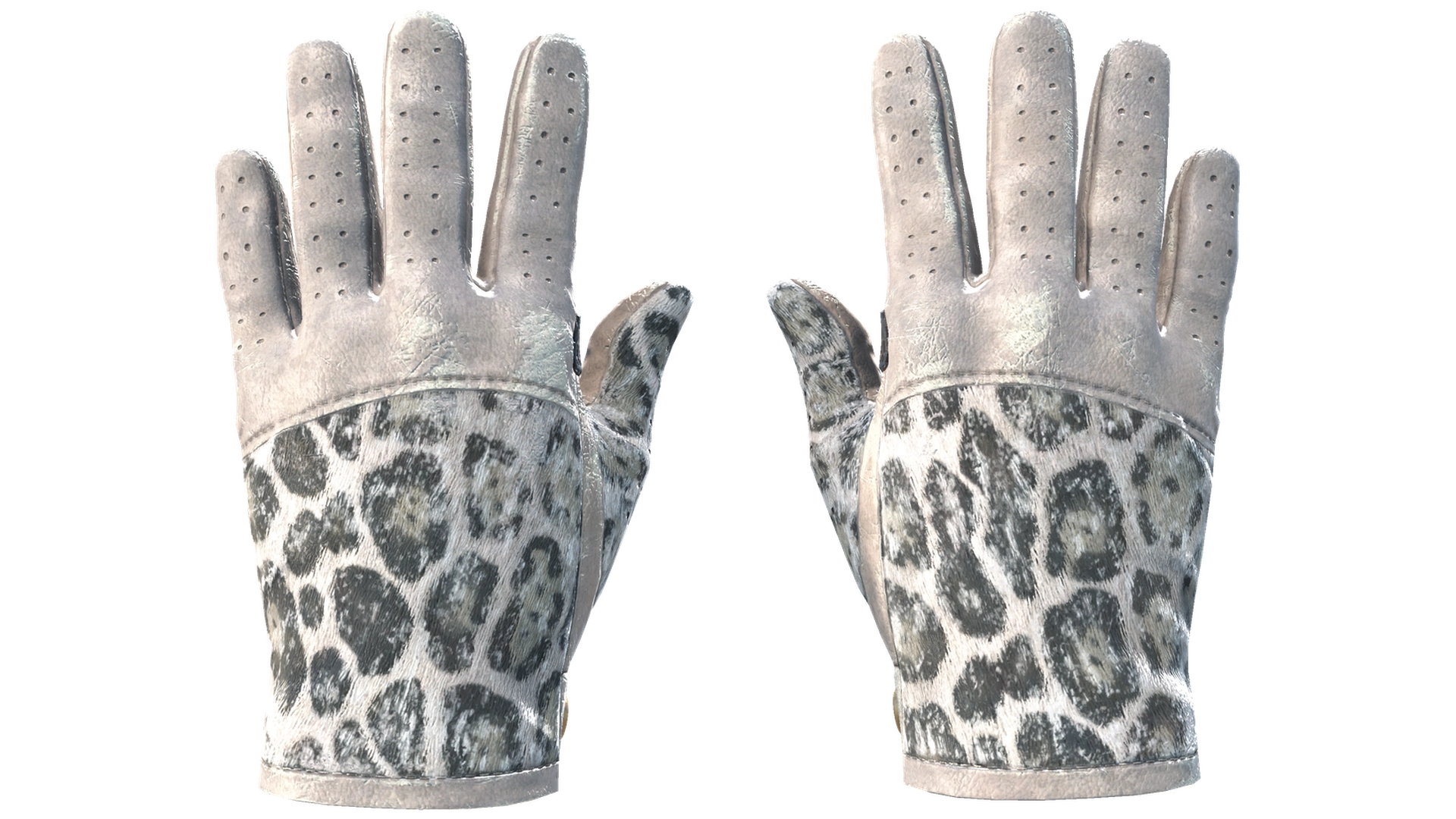 Snow Leopard image