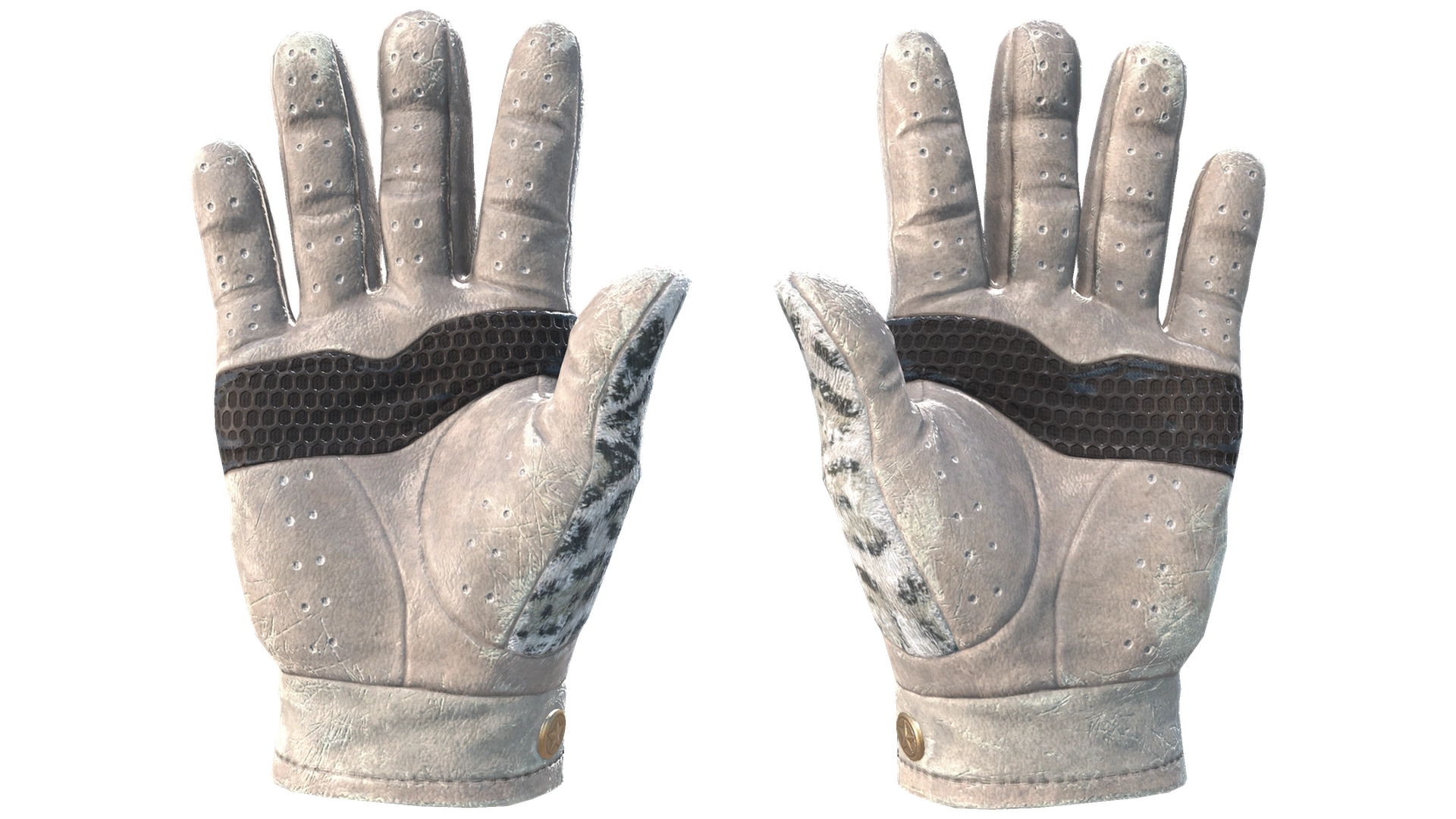 Snow Leopard image