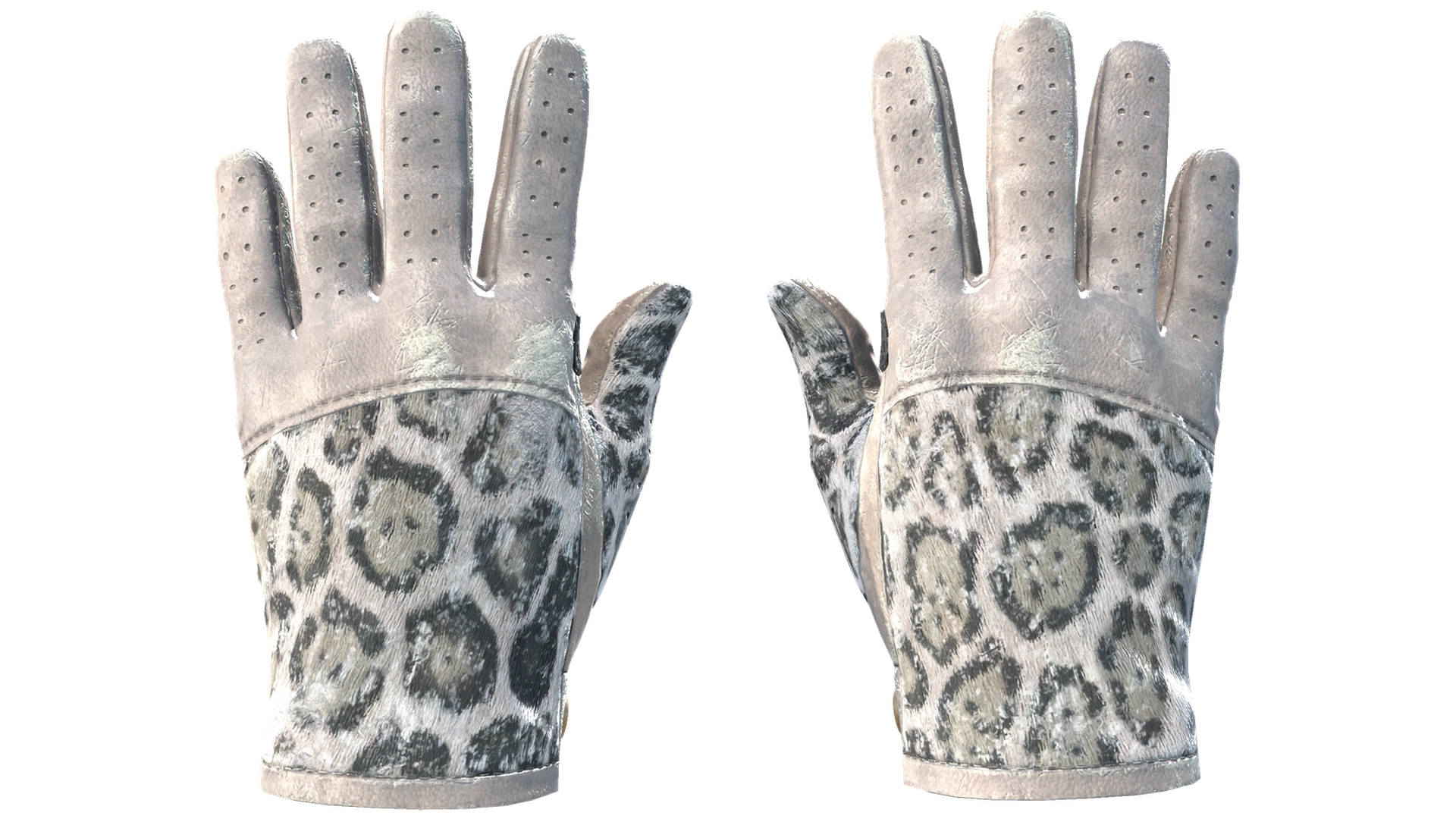 Snow Leopard image