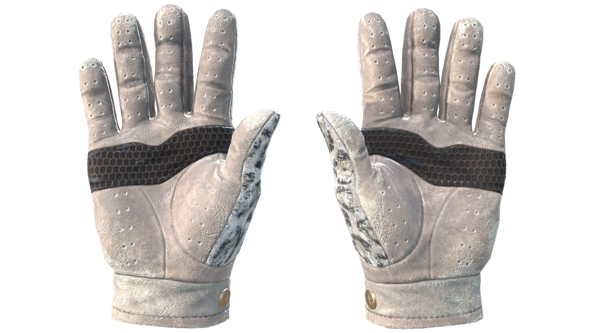 Snow Leopard image