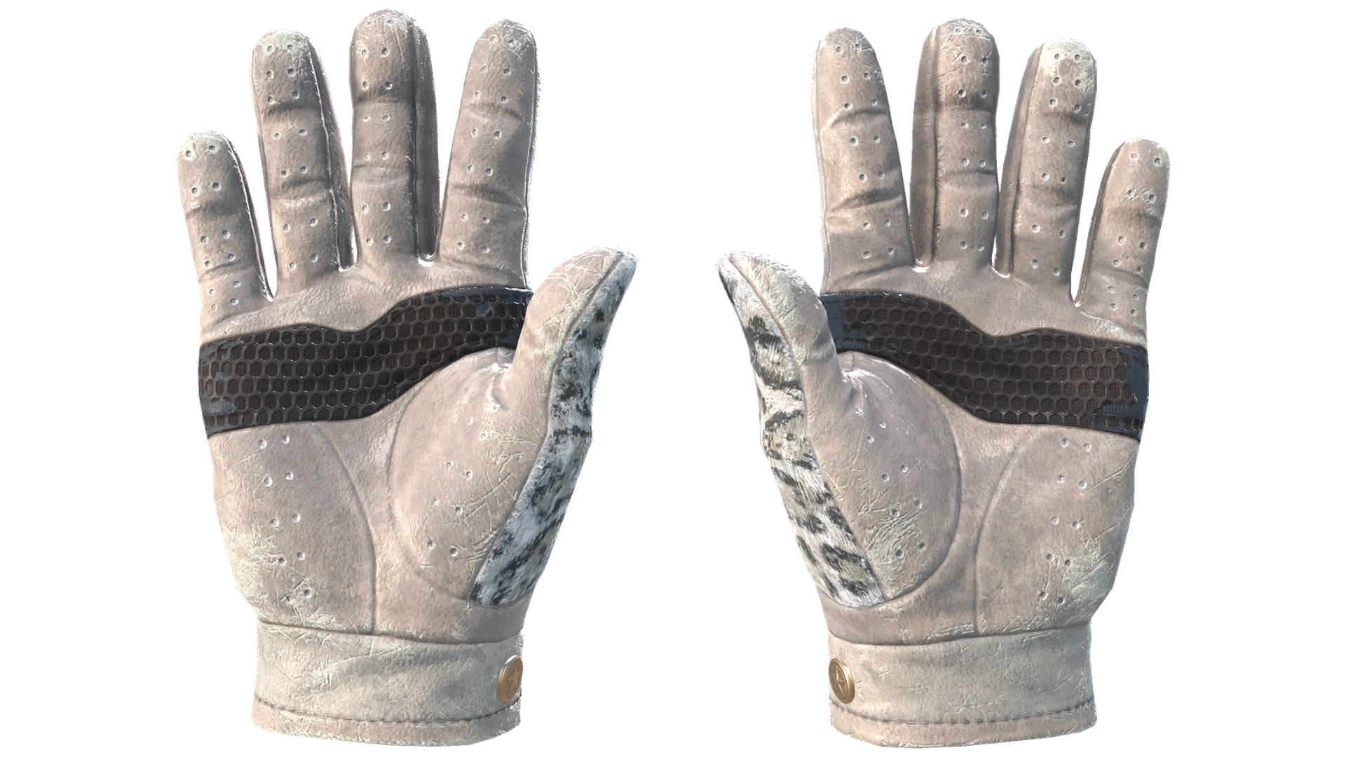 Snow Leopard image