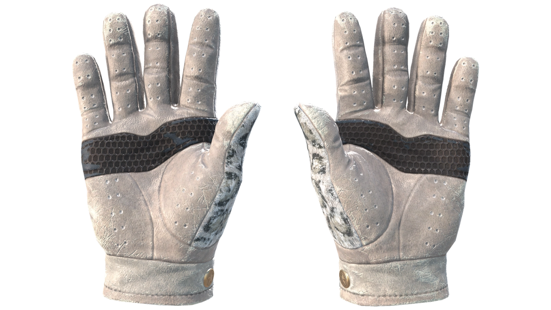 Snow Leopard image