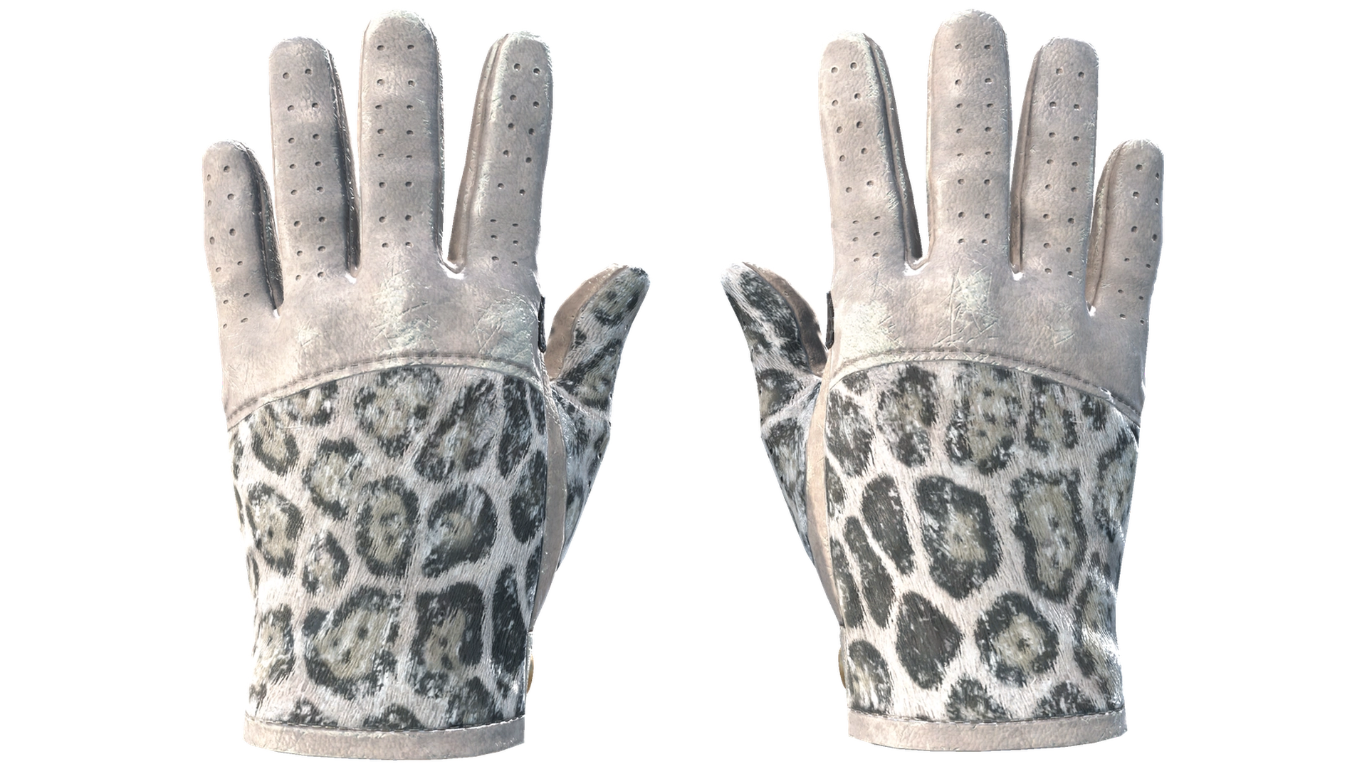Snow Leopard image