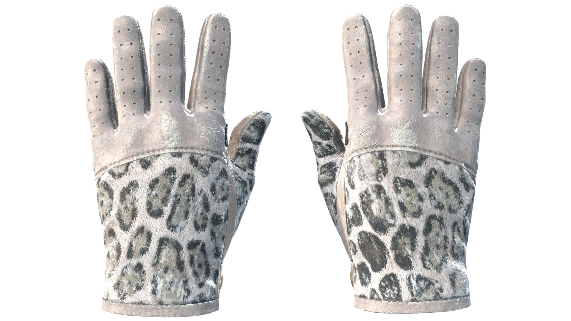 Snow Leopard image