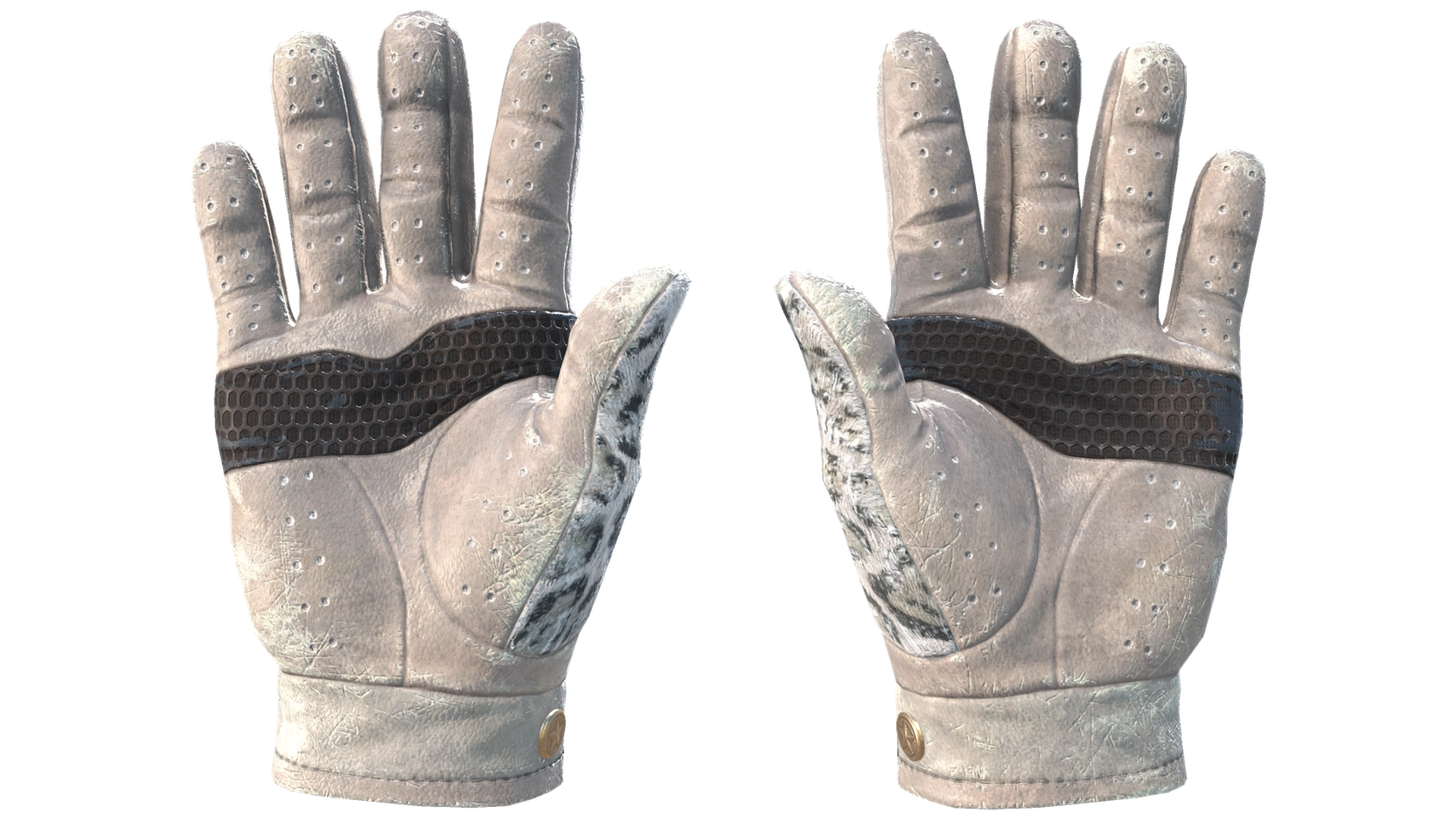 Snow Leopard image