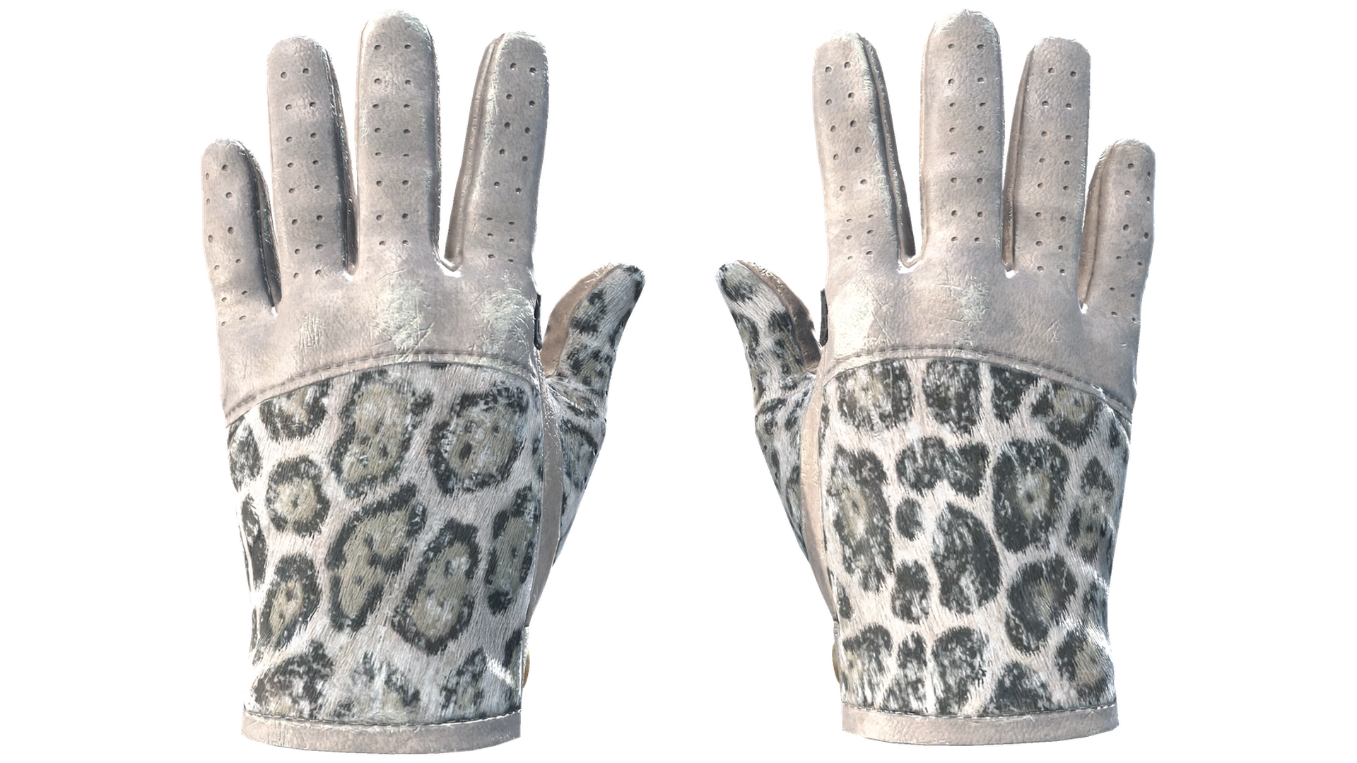 Snow Leopard image