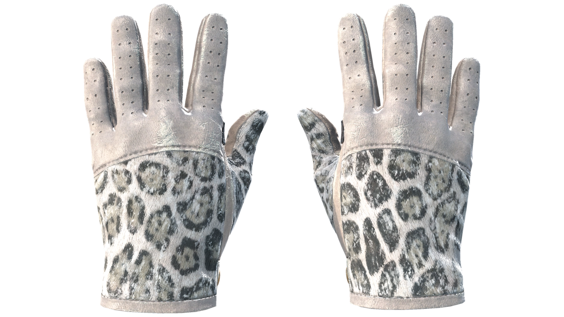 Snow Leopard image