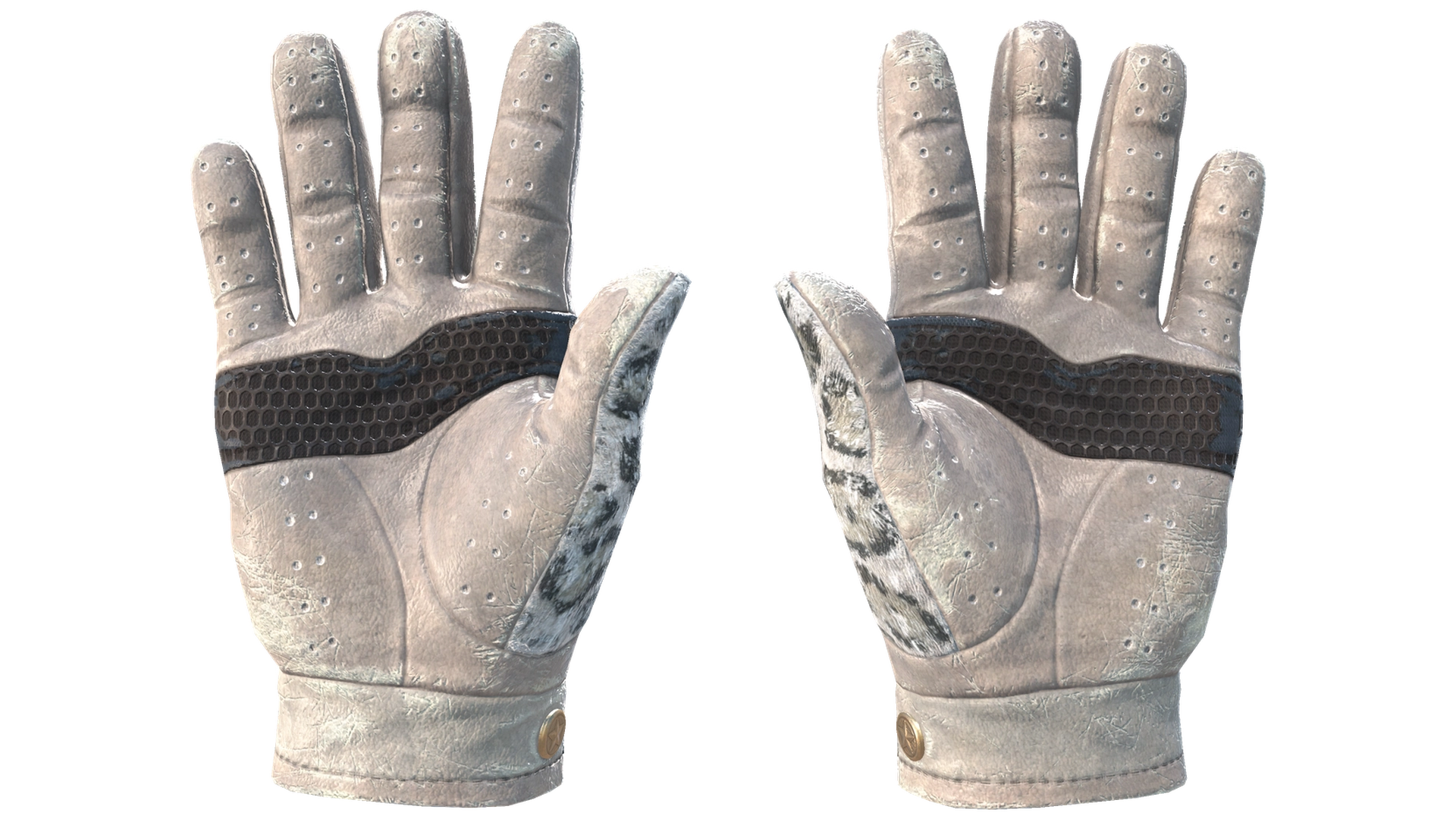 Snow Leopard image